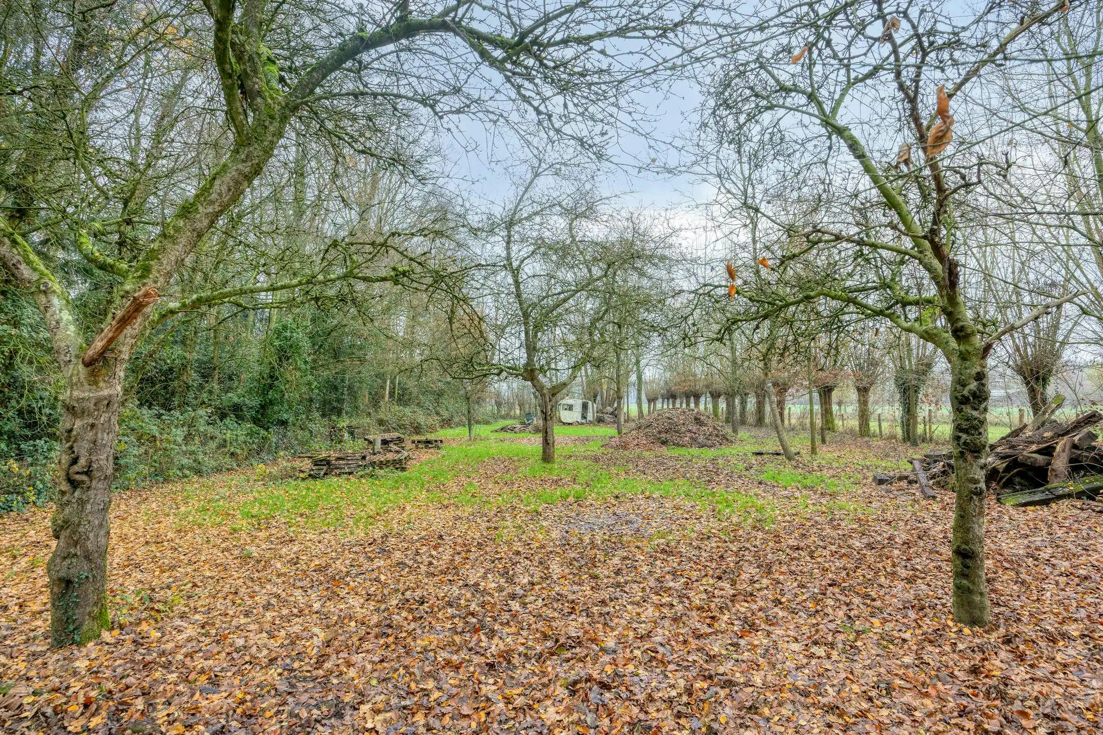 Vrijstaand huis met bijgebouw op perceel van 4012m² te Moerkerke foto 3