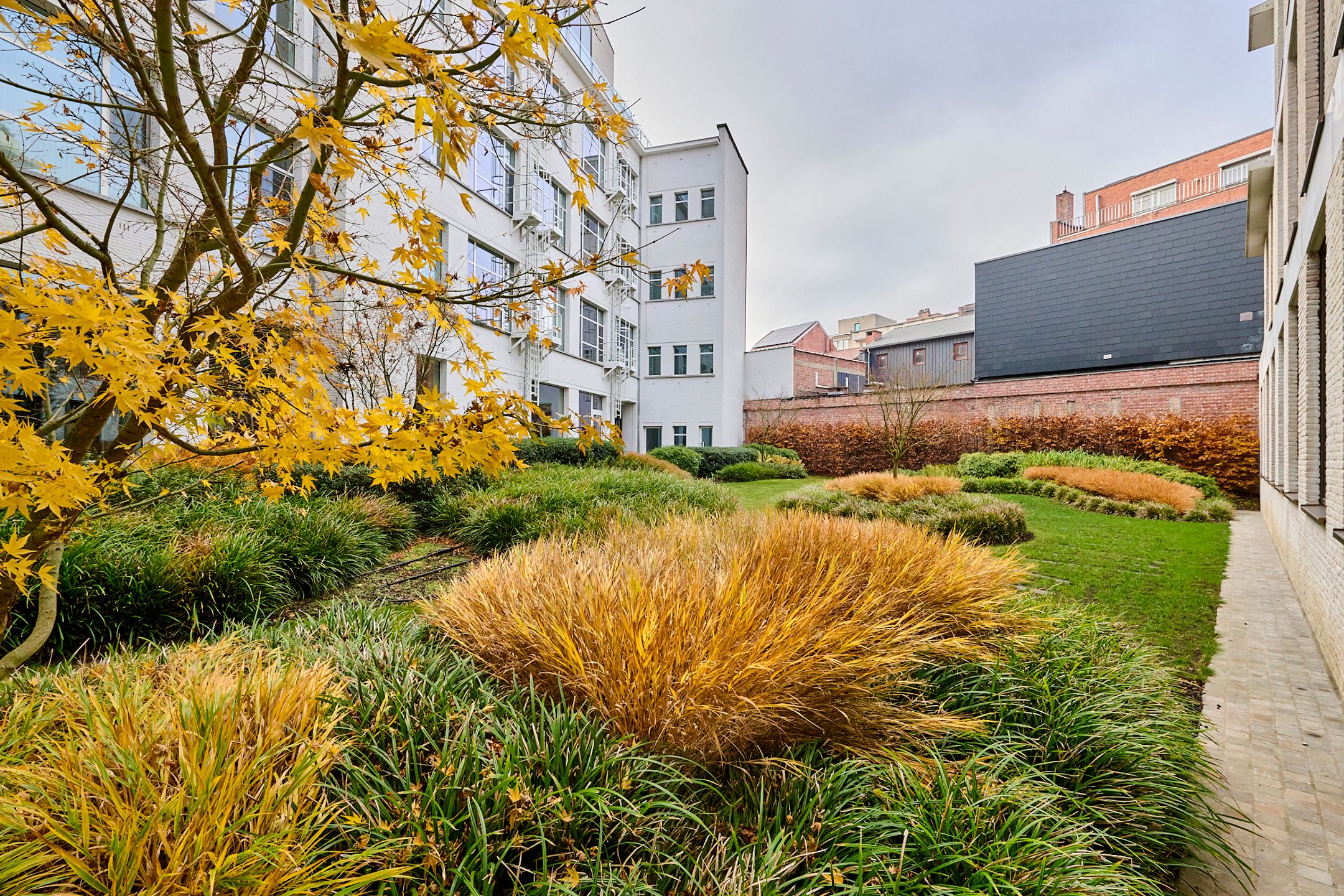 ASSISTENTIEWONING, 1 SLAAPKAMER, RUIM TERRAS foto 6