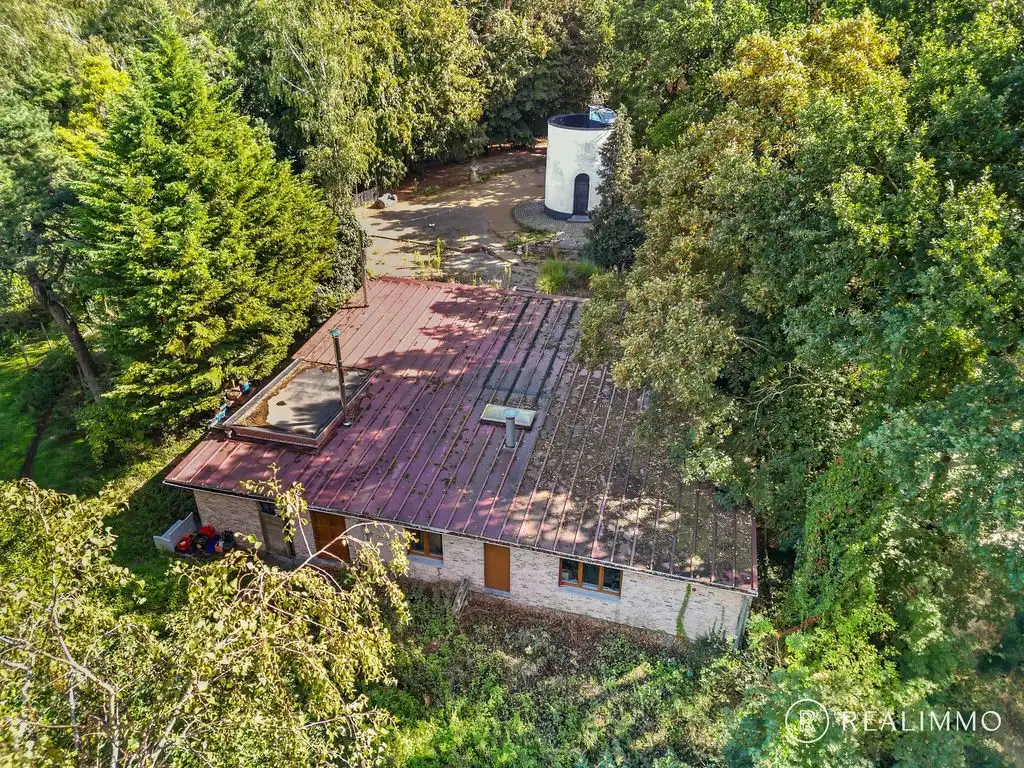 DE TOREN - Iconische horecazaak midden in het Kluisbos foto 4