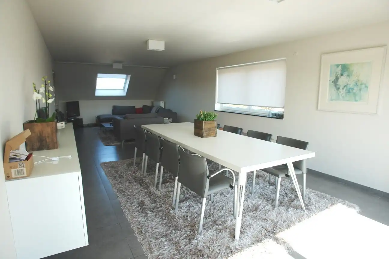 RUIM DUPLEX APPARTEMENT MET TERRAS EN GARAGE foto 2