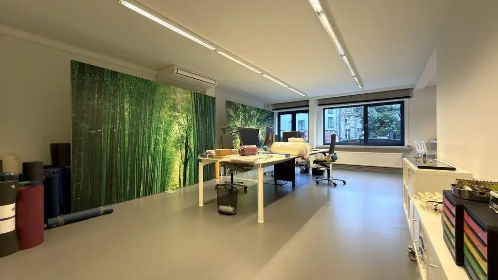 Lichtrijk kantoor te huur aan de Leien in Antwerpen foto 5