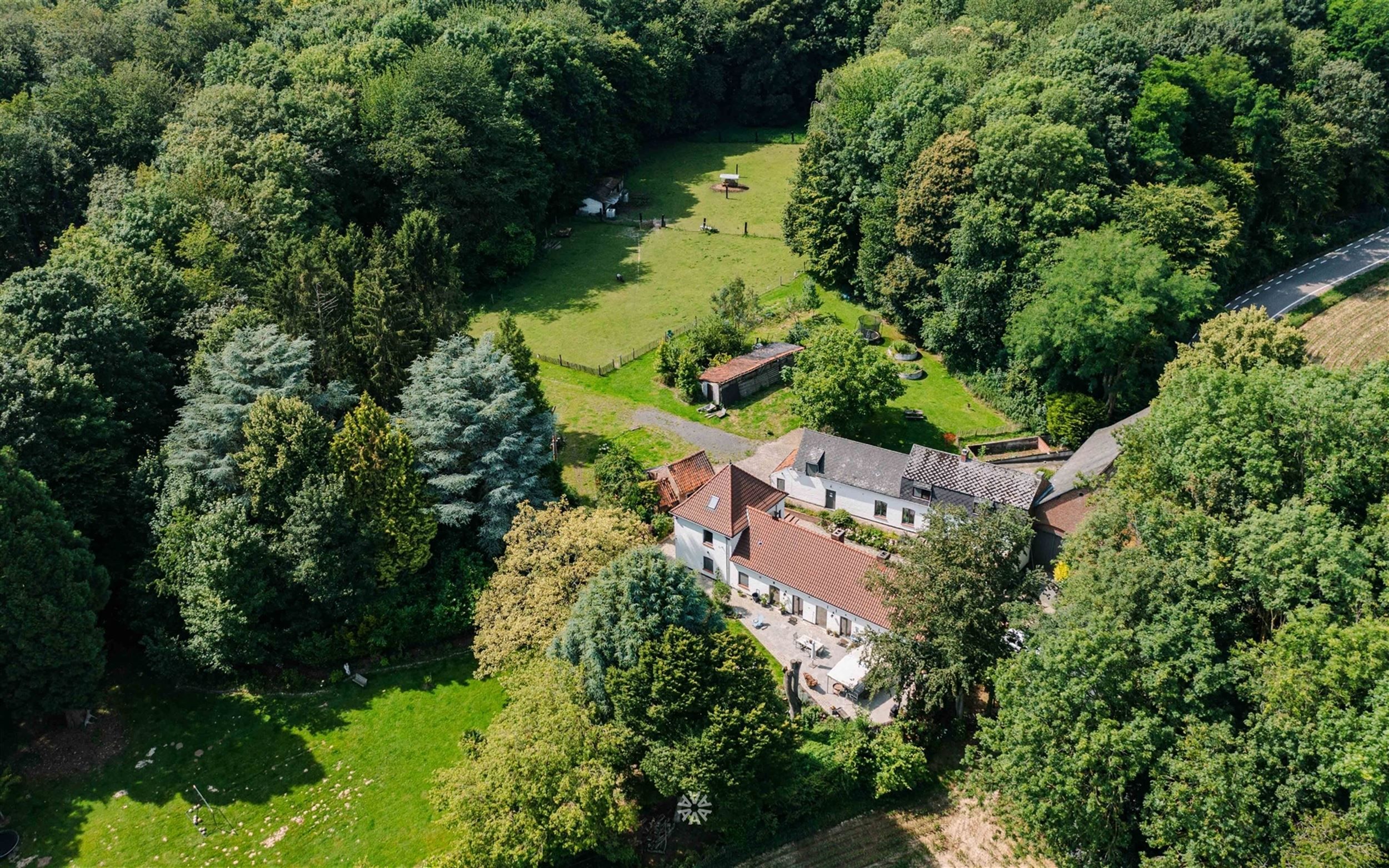 Uniek gelegen landgoed met gite midden de bossen foto 22