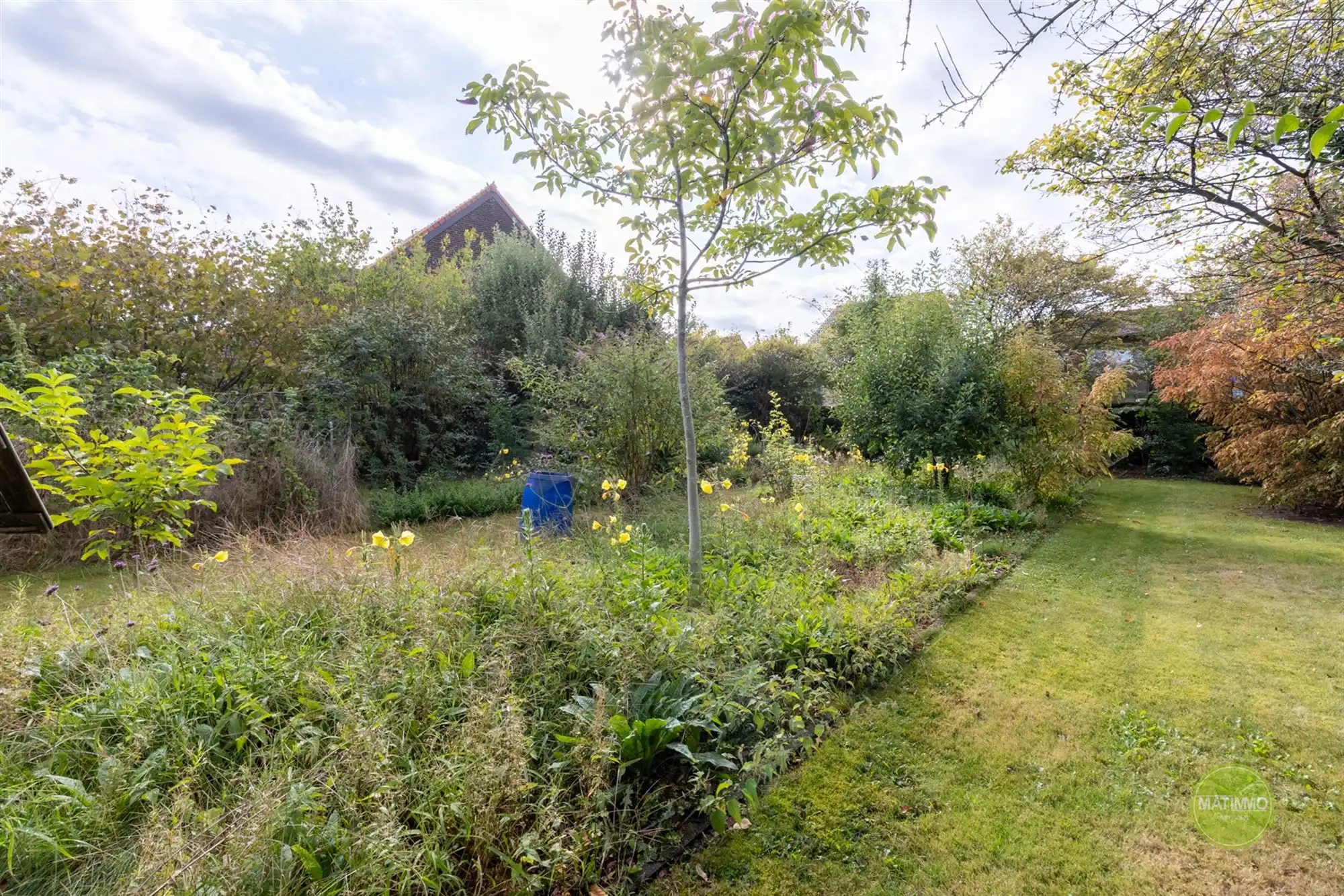 Bouwgrond voor open bebouwing met een oppervlakte van 604 m2 foto 4