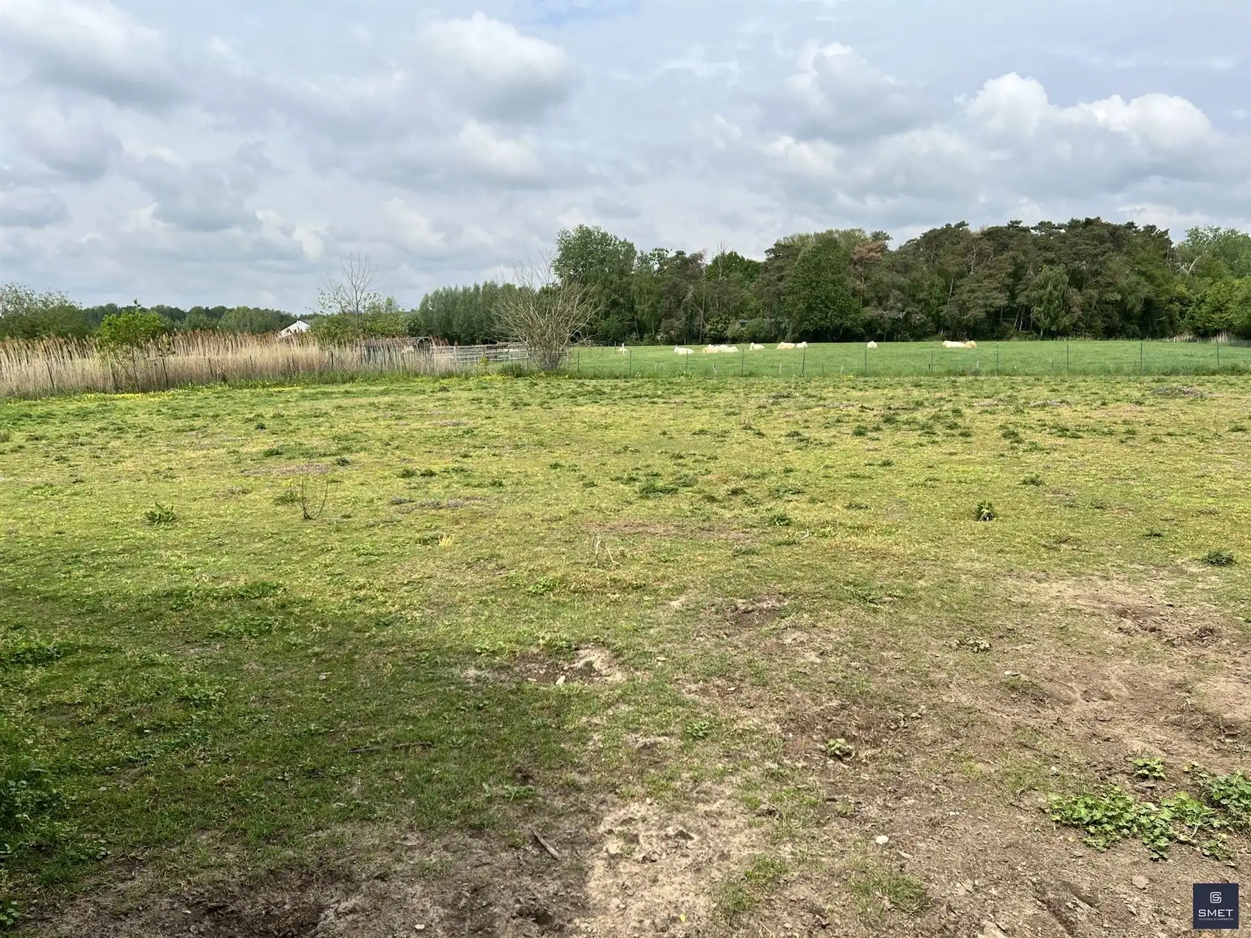 LANDELIJKE HOB MET TUIN EN WEILAND foto 25