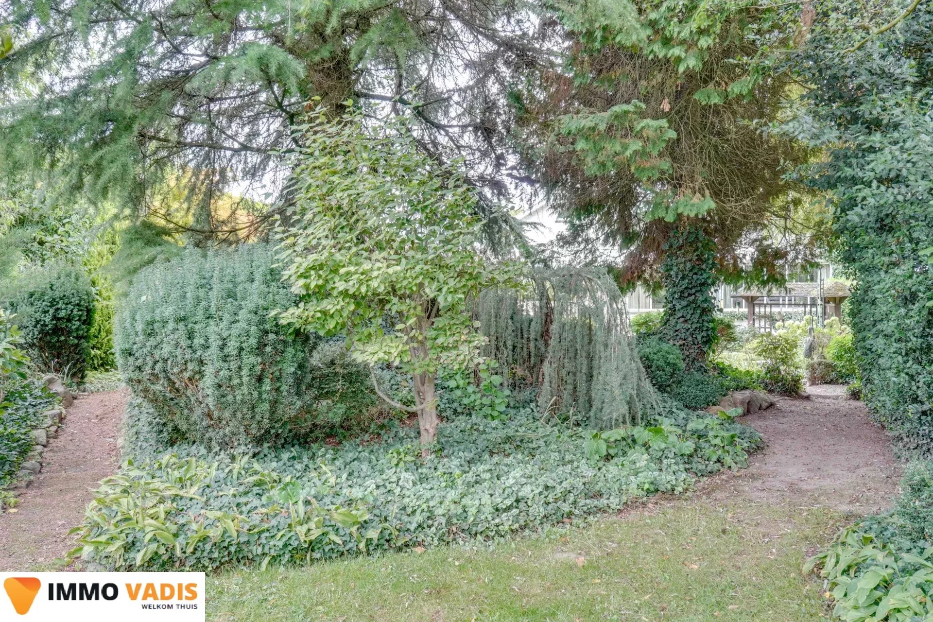 Te renoveren woning met  garage en mooie tuin foto 30