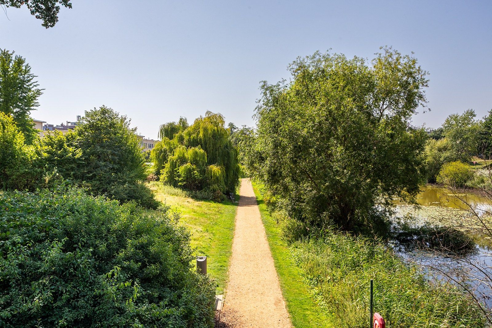  Licht, ruimte en comfort in de Tentoonstellingswijk foto 19