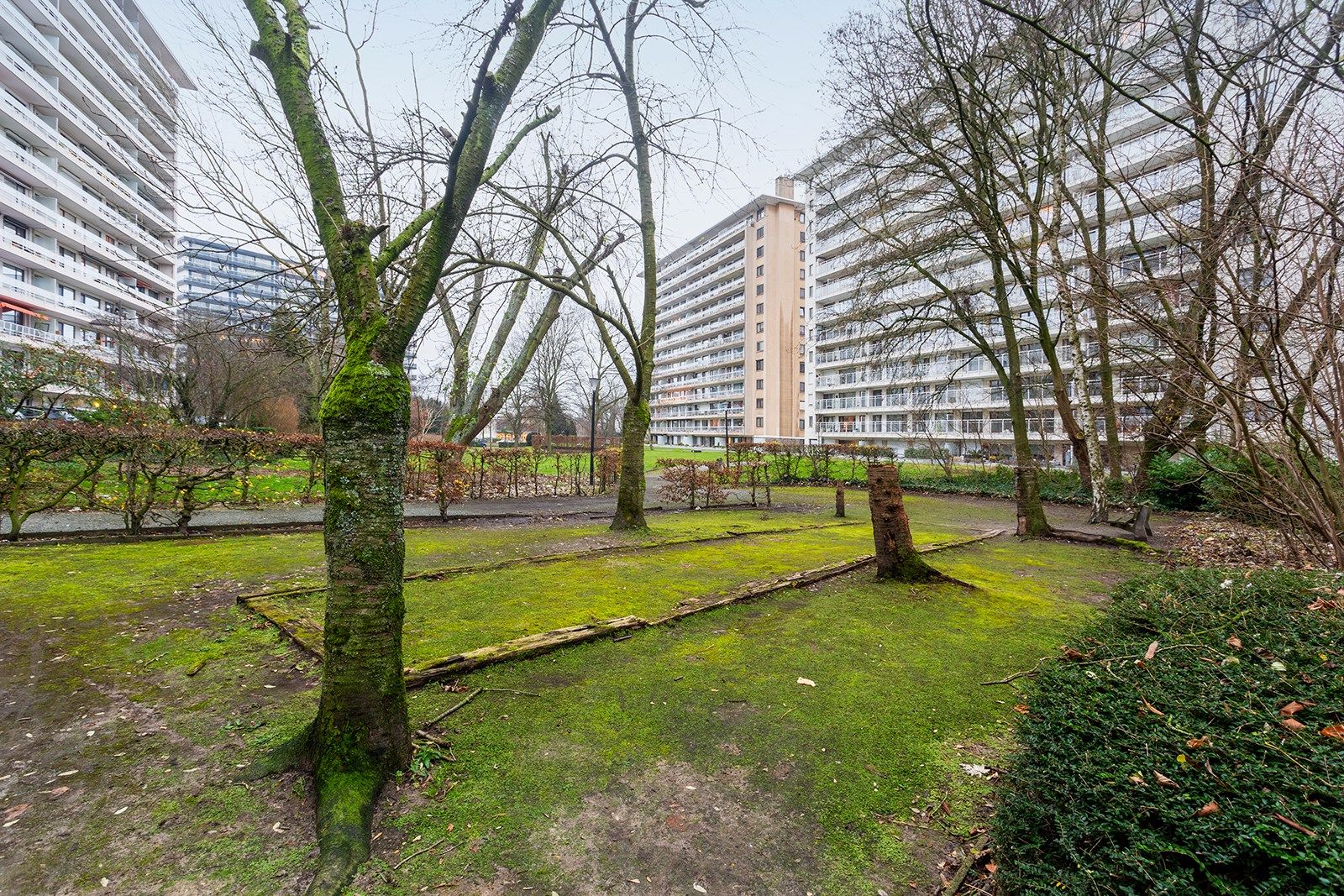 Leuk appartement met groen uitzicht  foto 19