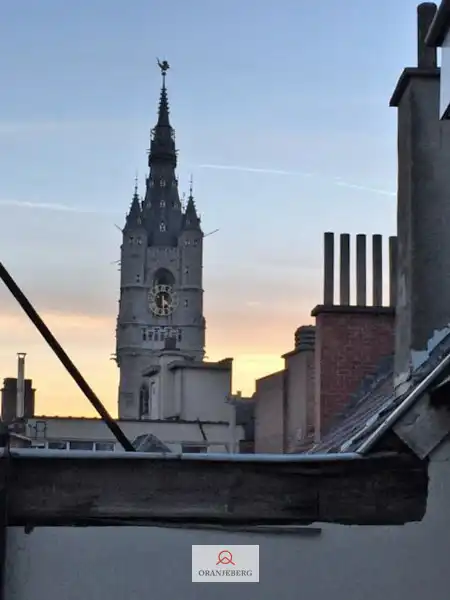 Zalige exclusieve penthouse met zuidgericht terras en uniek zicht op de torens! foto 15