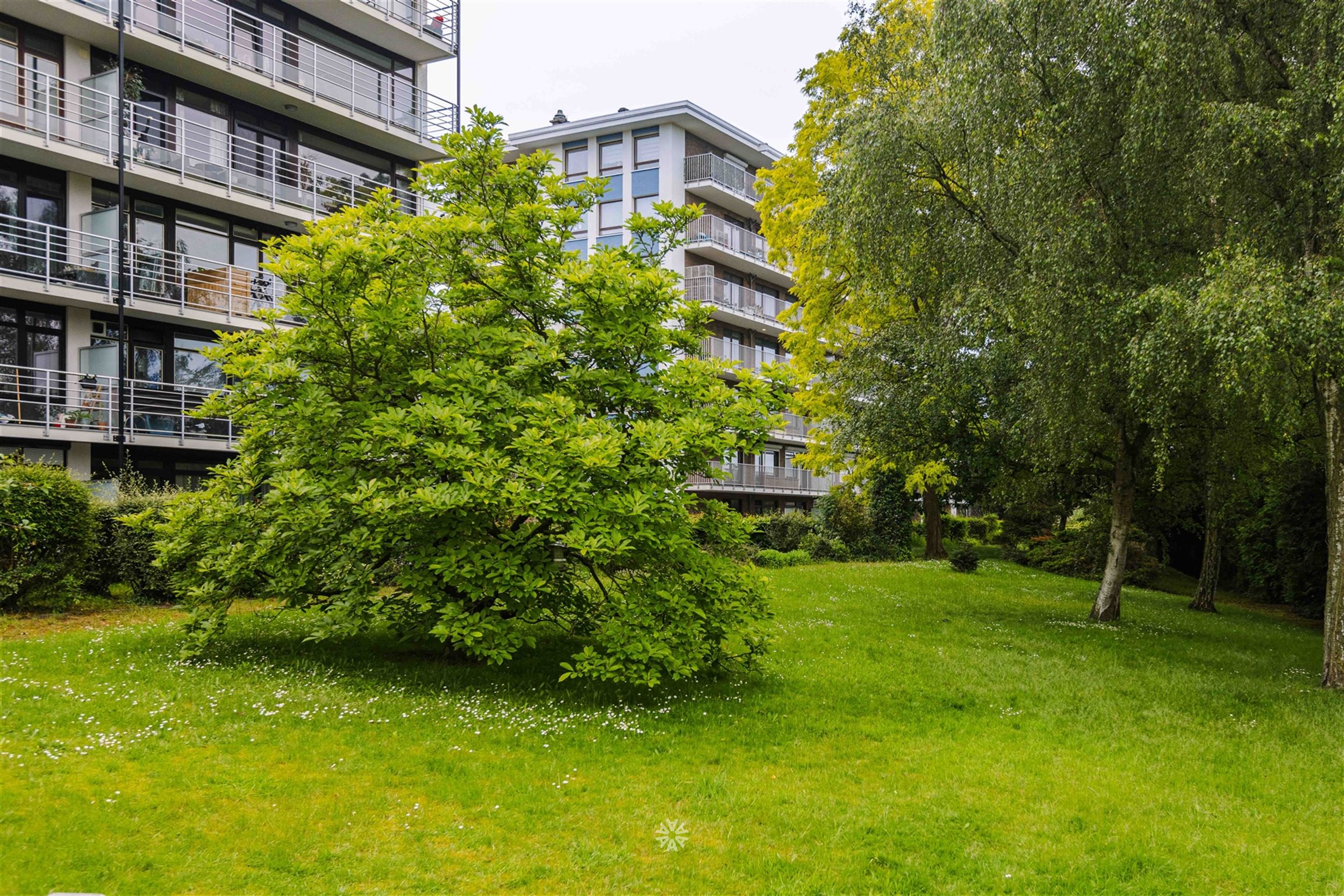 Appartement met terrassen te koop te Sint-Amandsberg foto 16