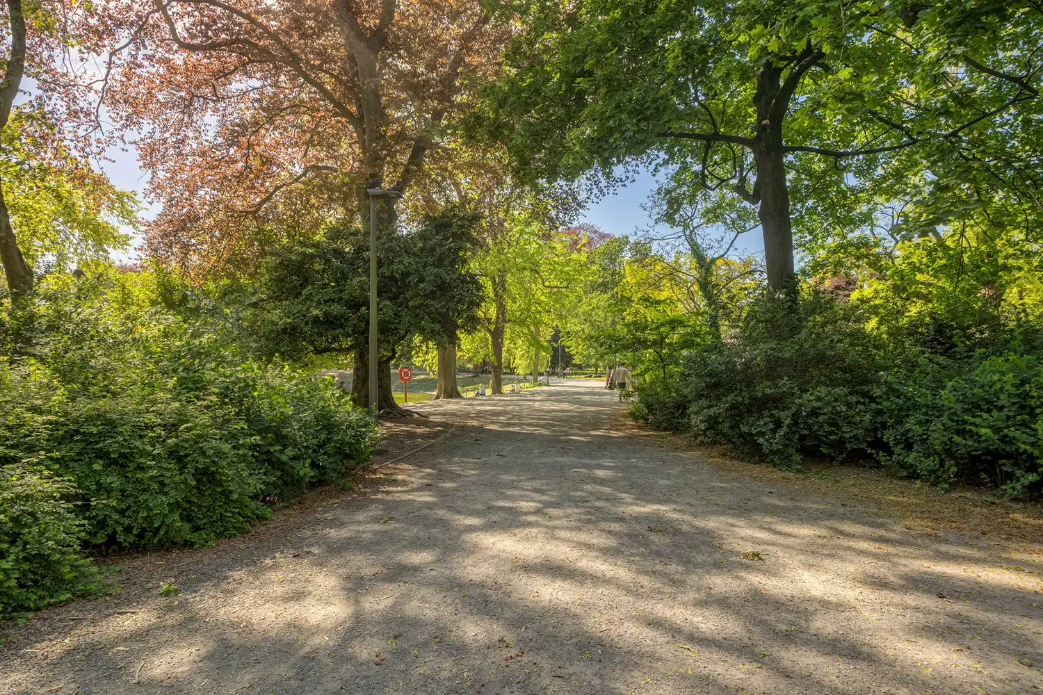 Luxueuze en energiezuinige (EPC B) totaalrenovatie met zalig parkzicht aan de Rubenslei in hartje Antwerpen + optionele parking foto 18