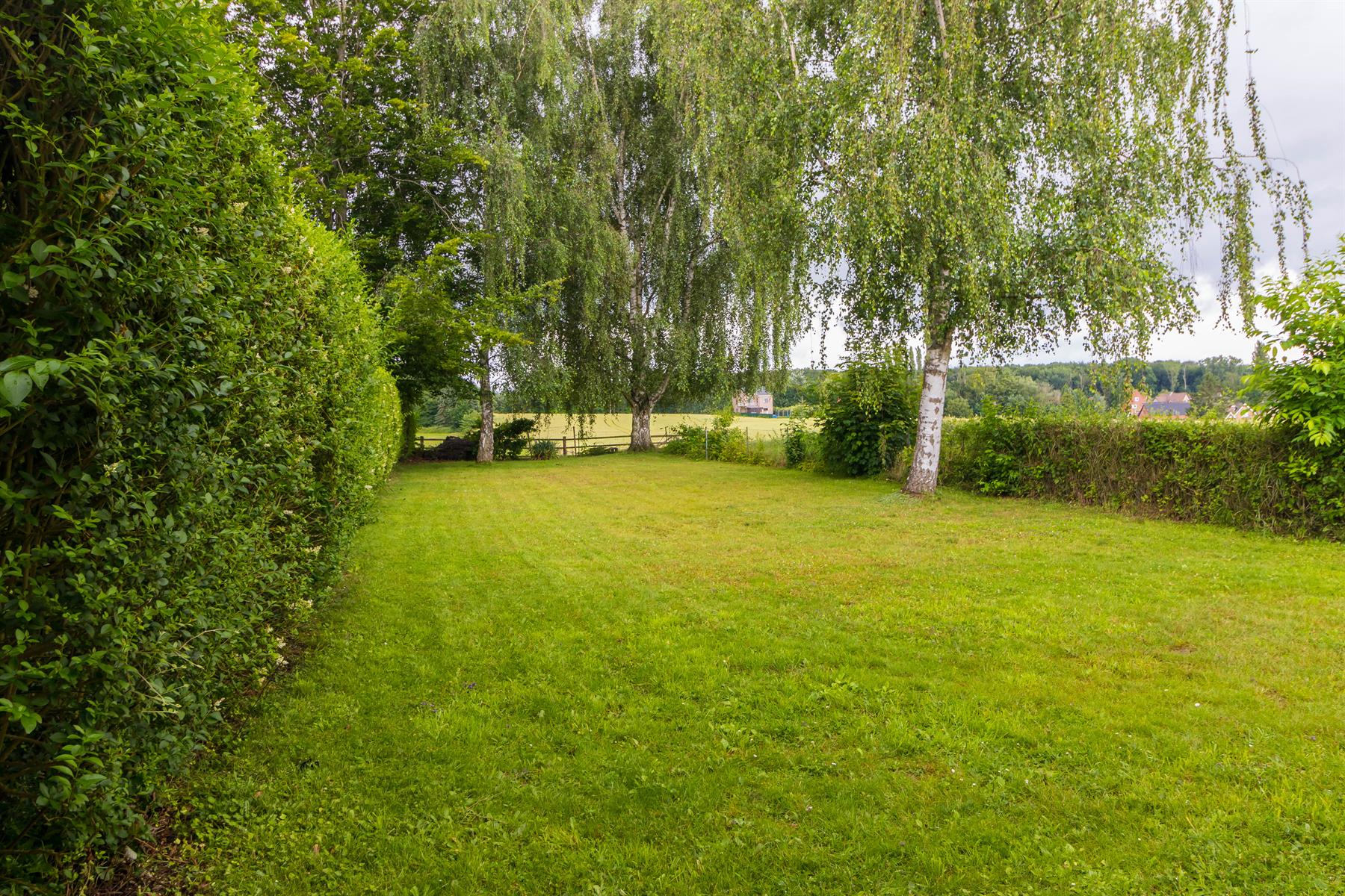 Huis te huur foto 24