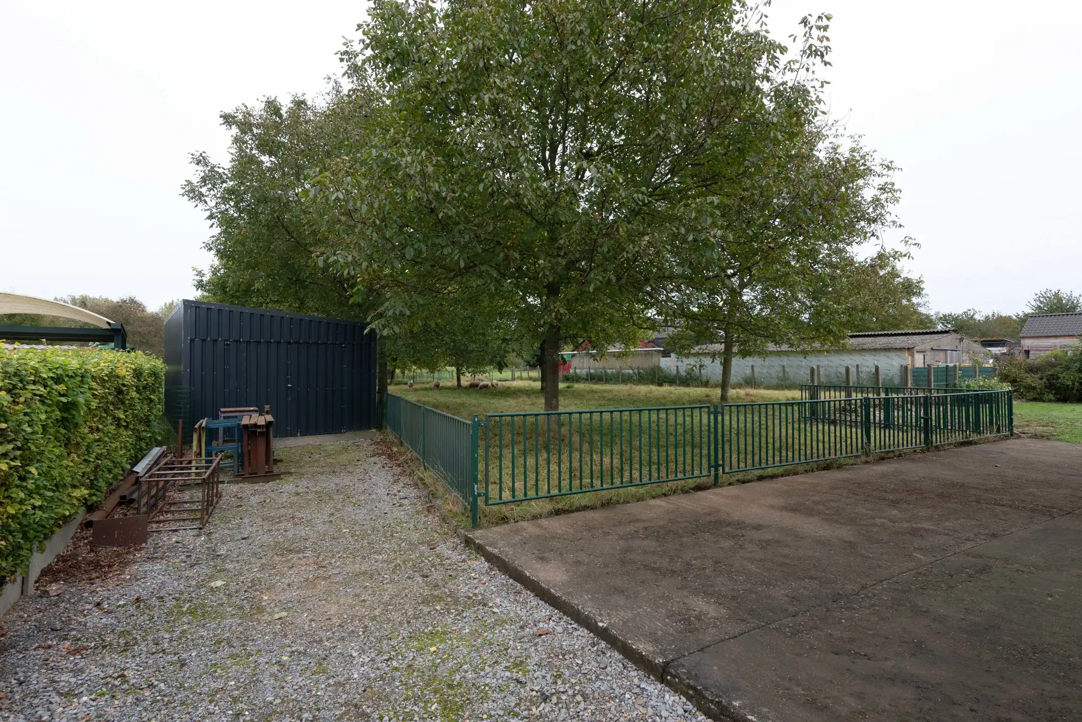 OB met paardenweide op 22a36ca te Membruggen foto 10