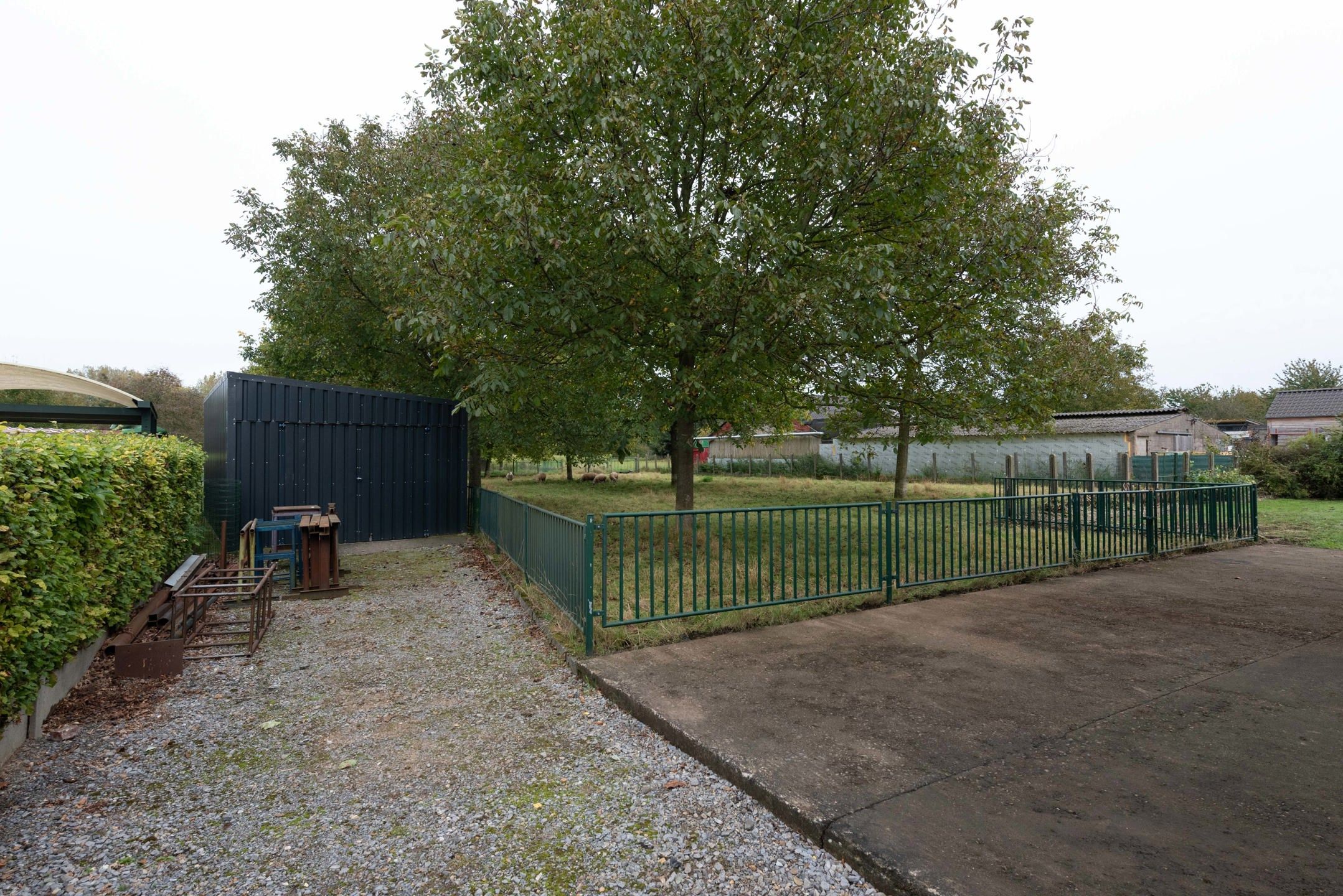 OB met paardenweide op 22a36ca te Membruggen foto 10