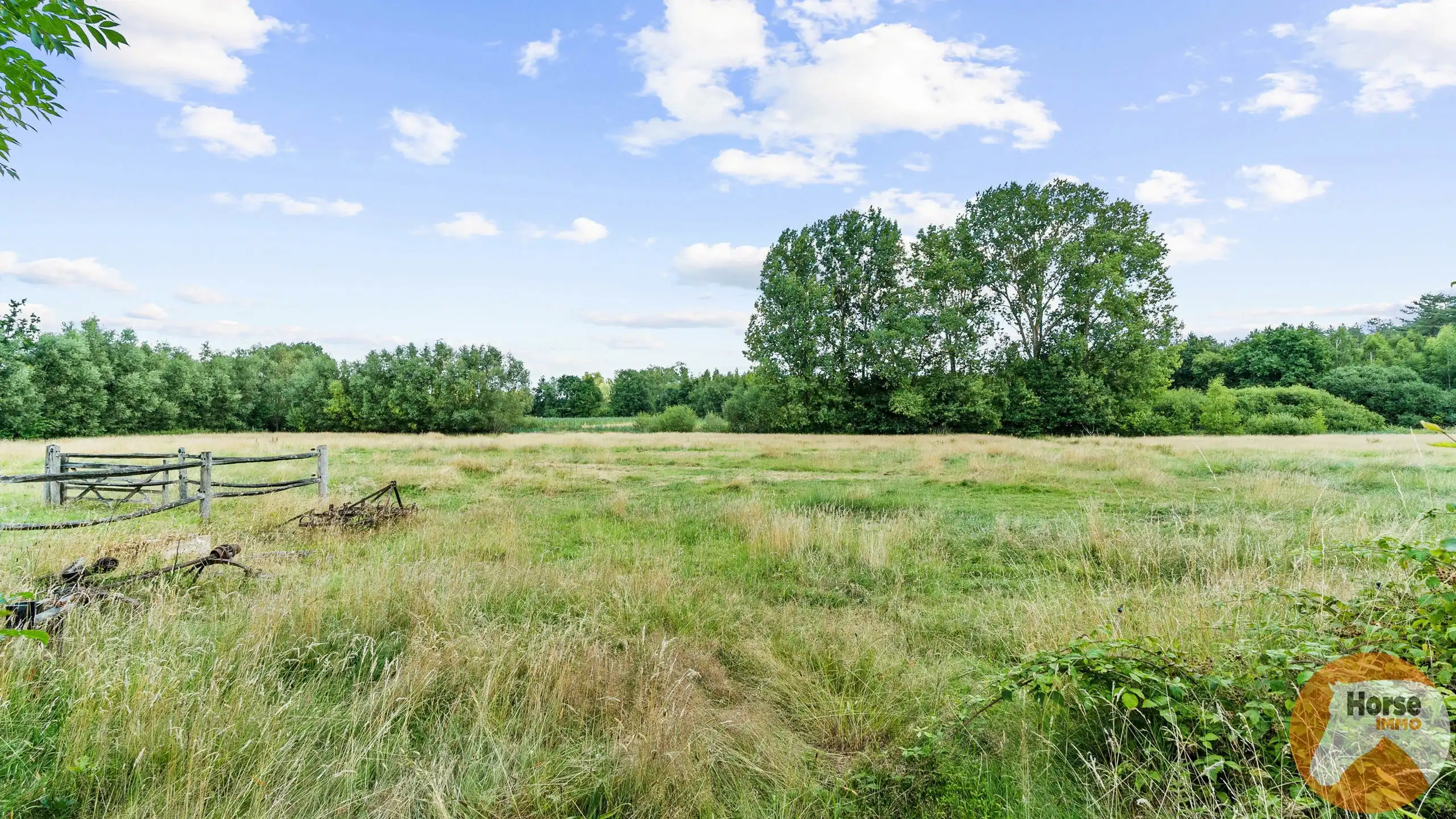 TESSENDERLO - Uniek gelegen hoeve met schuren op 3ha76 foto 35