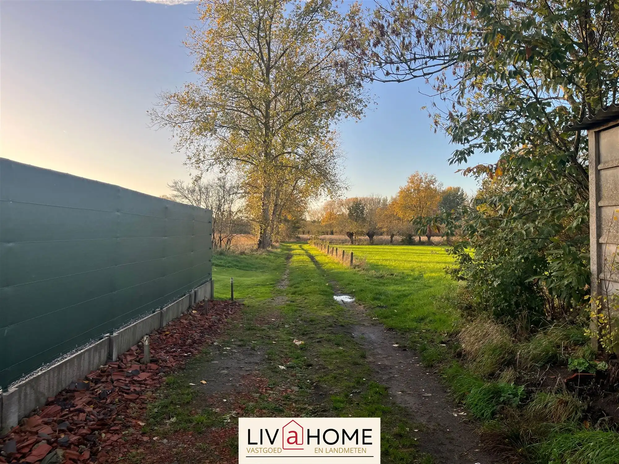 landbouwgrond - niet verpacht. foto 3