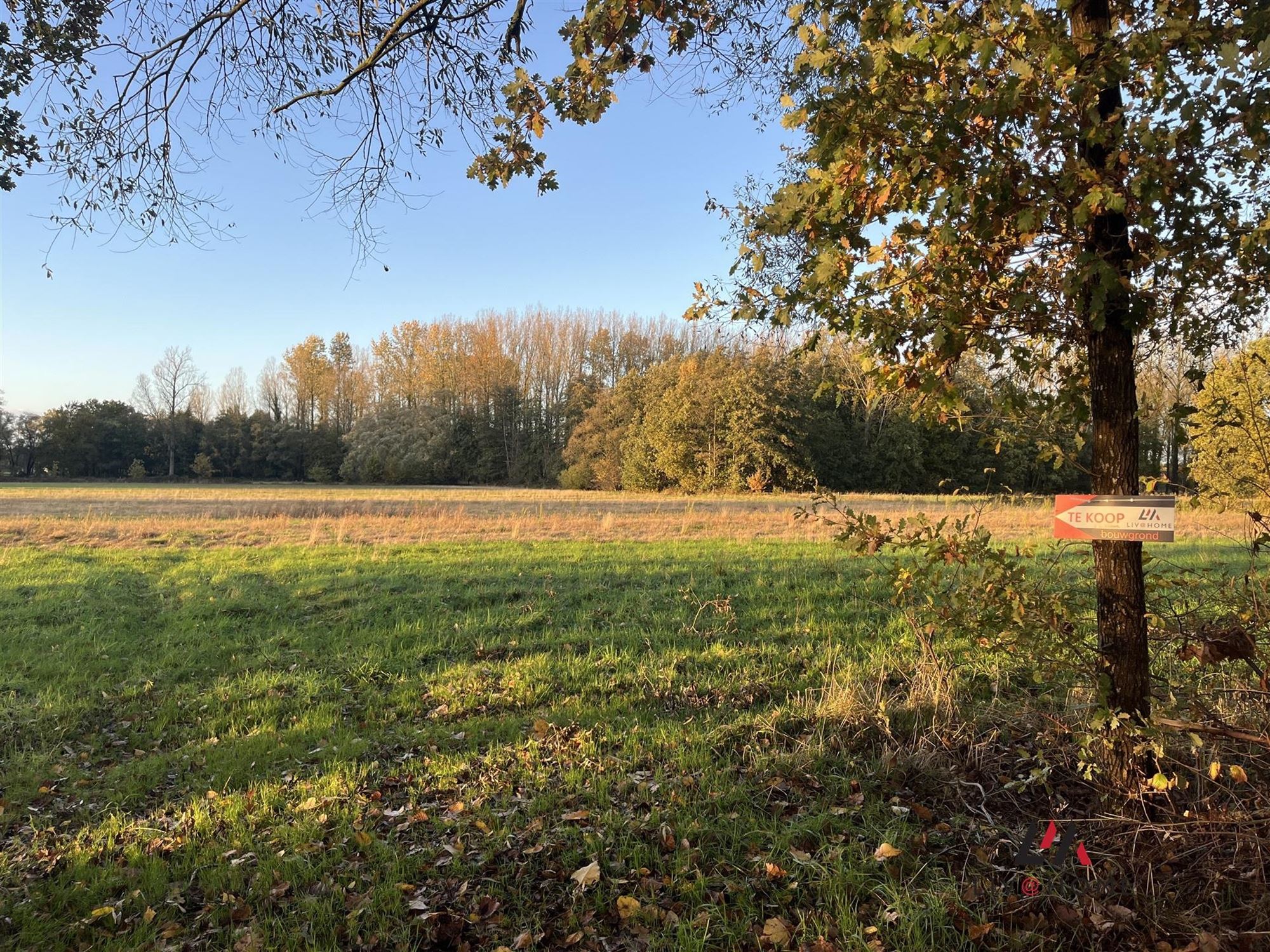 landbouwgrond - niet verpacht. foto 3