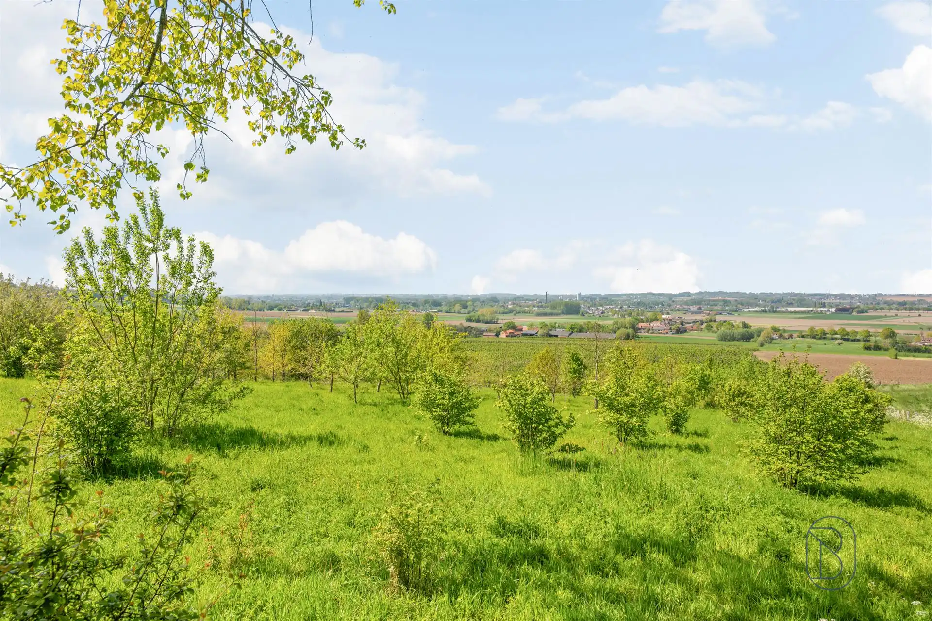 Unieke eigendom op 18 hectare te Kwaremont foto 18