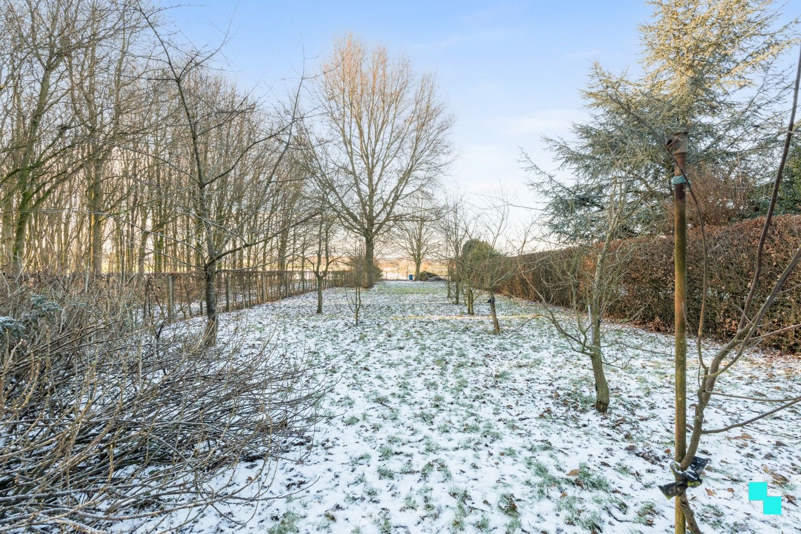 Waar charme en natuur elkaar ontmoeten in Watou (Poperinge) foto 28