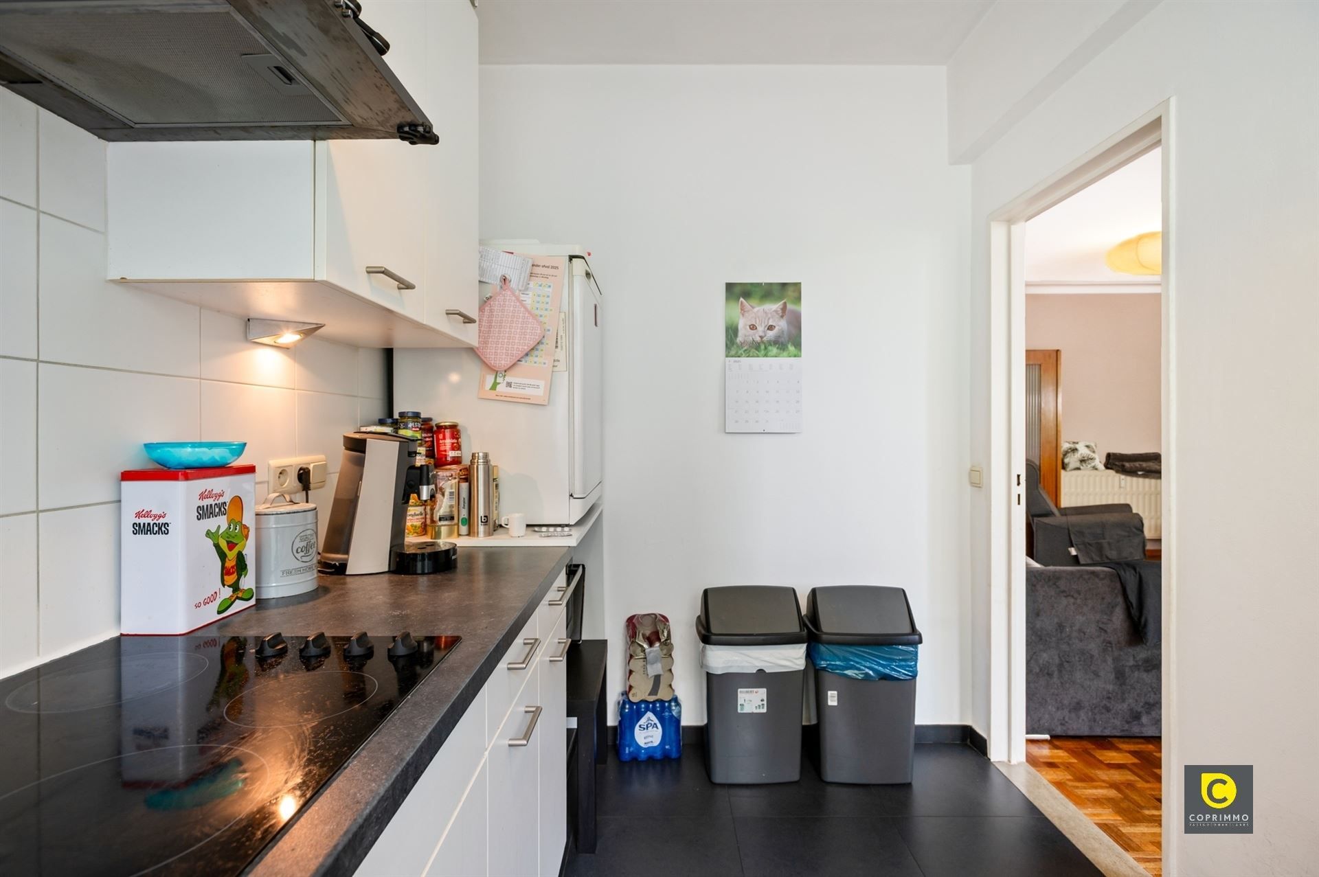 Instapklaar appartement te Berchem foto 7