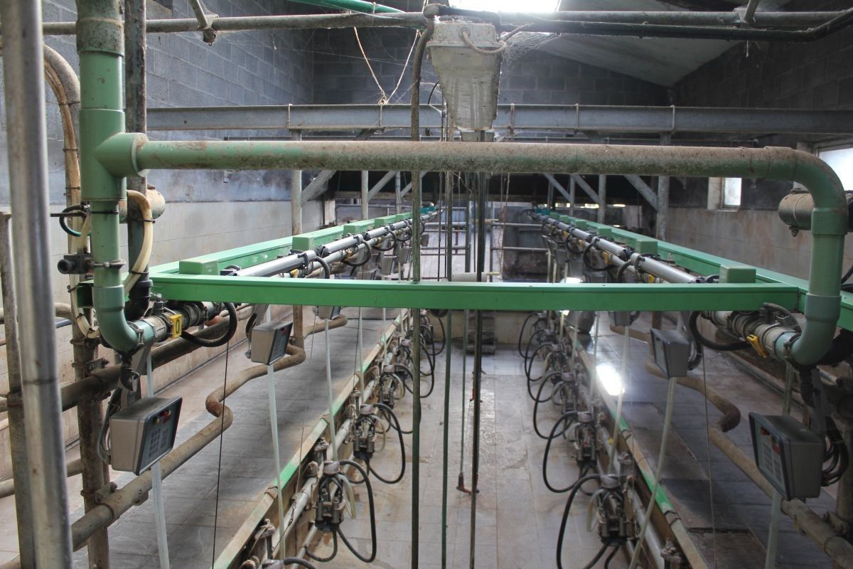 Hoeve met ruime stallen te koop te Zottegem op 4,68 ha foto 11