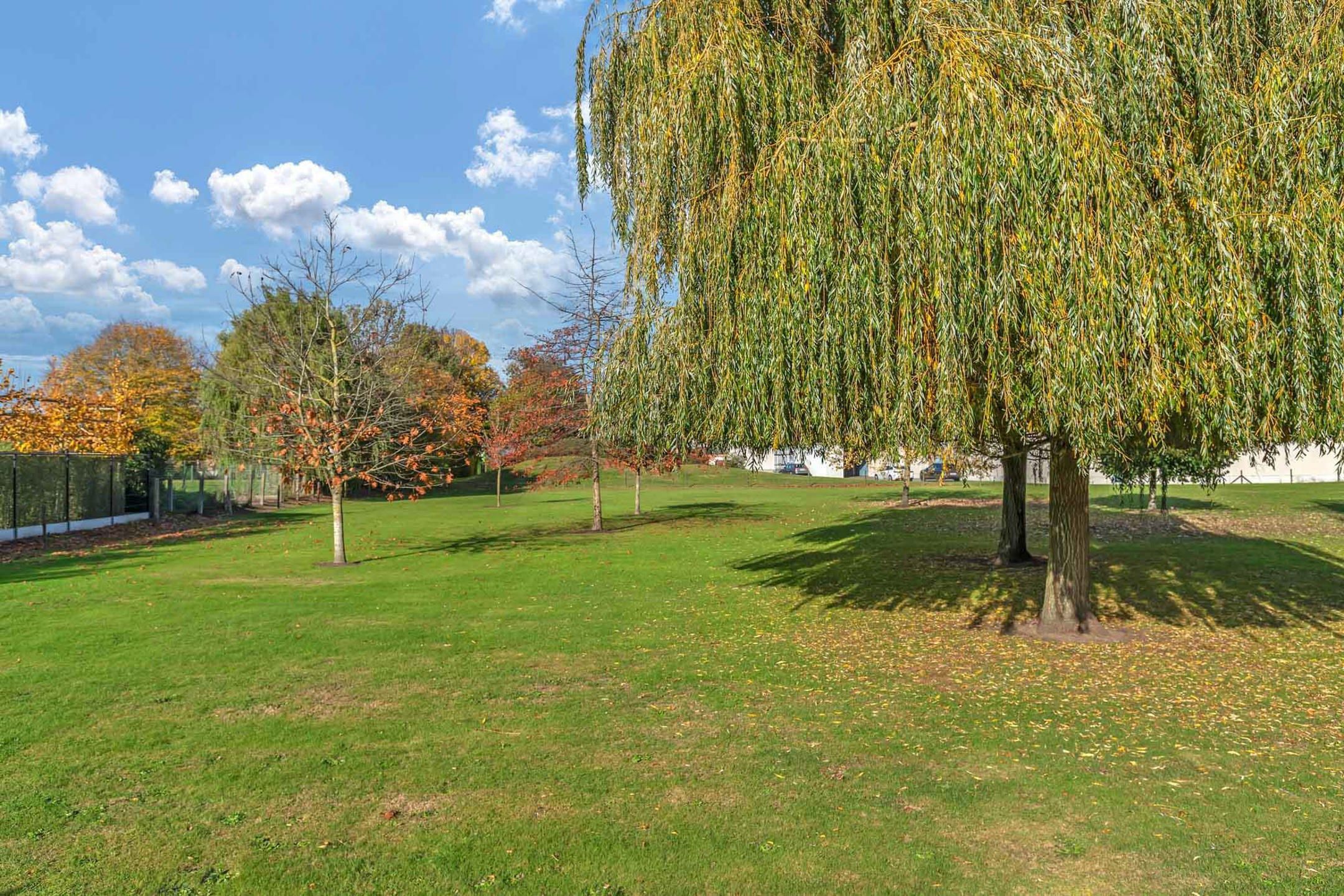 Ruime rijwoning met garage nabij centrum Deinze foto 16