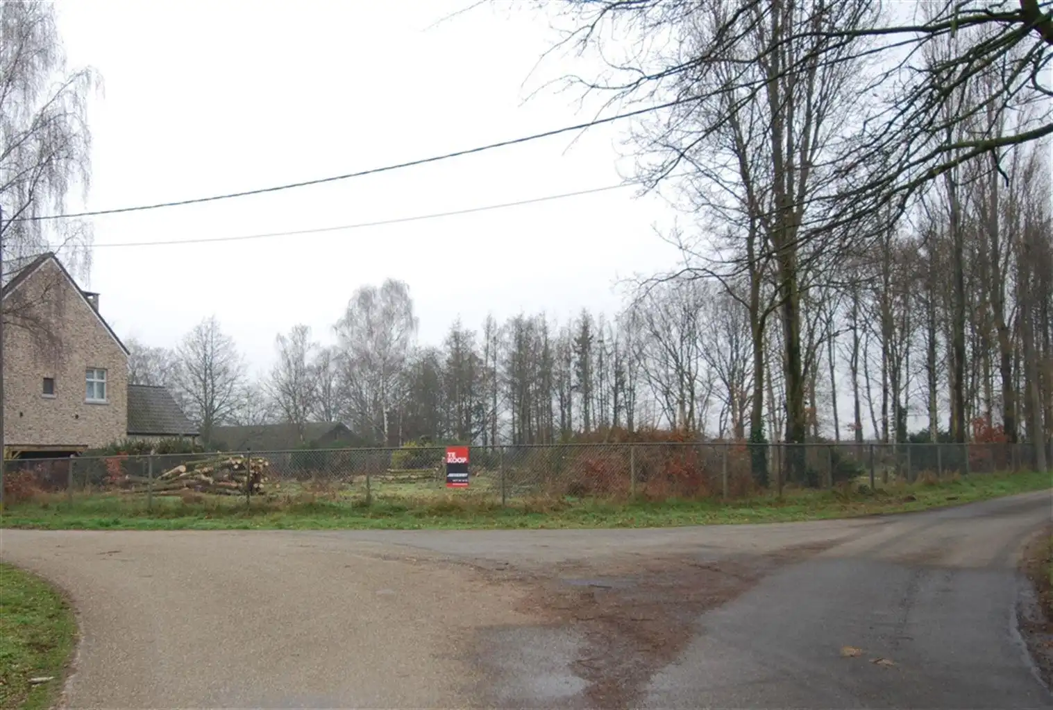 Perceel bosgrond foto {{pictureIndex}}