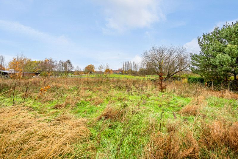 Charmante, te renoveren hoeve met naastiggend perceel grond op 29are foto 5