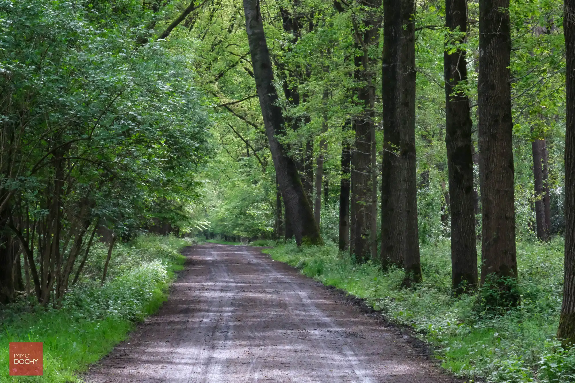 Idyllisch landhuis “De Lentehoeve” te midden het groen foto 7