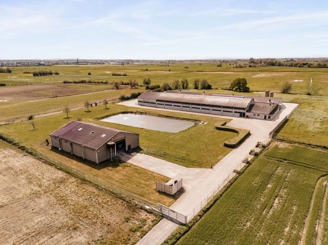 Volledig aangepast toekomstgericht zeugenbedrijf te koop te Vleteren foto 2