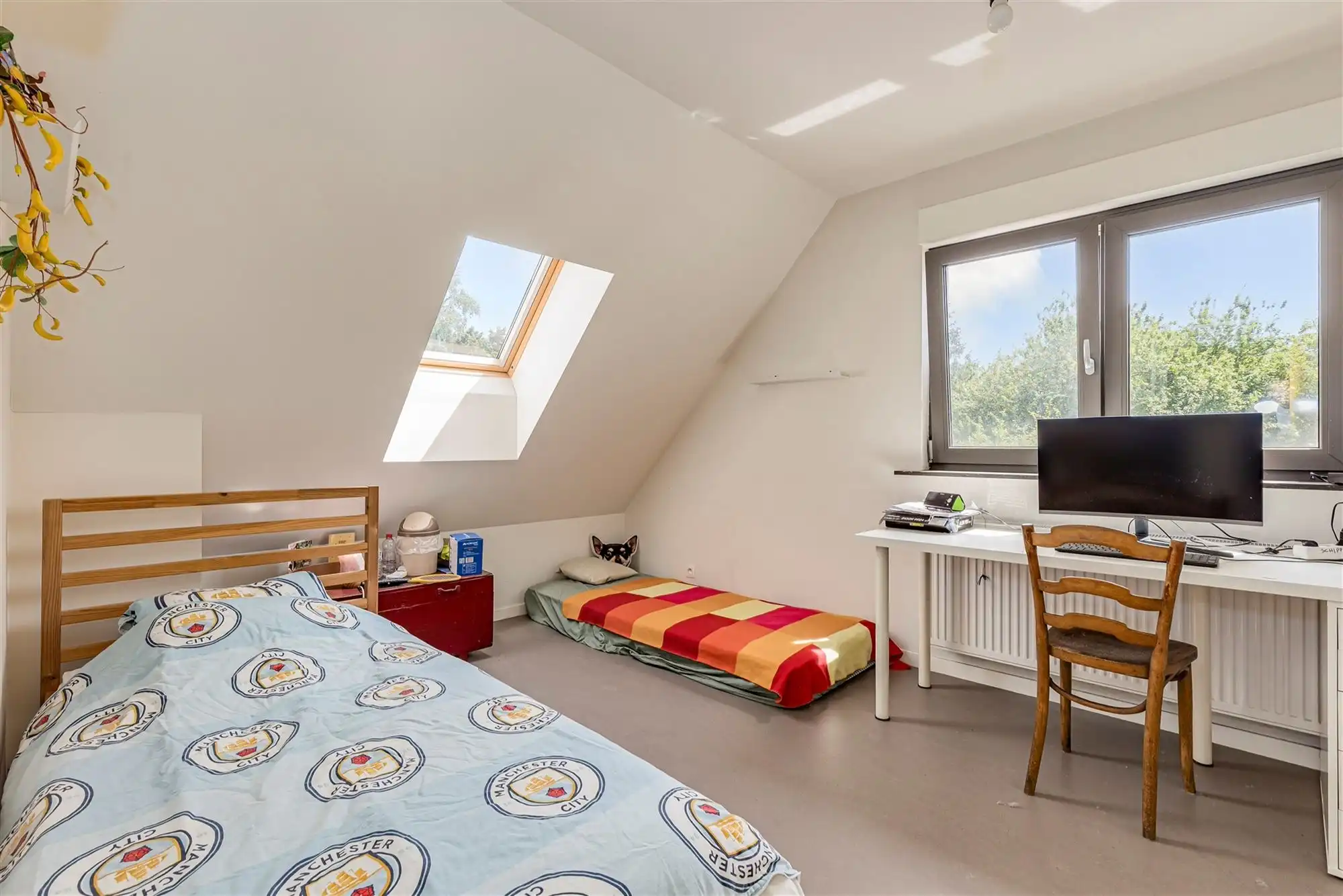 Uniek huis met winkel, atelier of bureel  foto 21