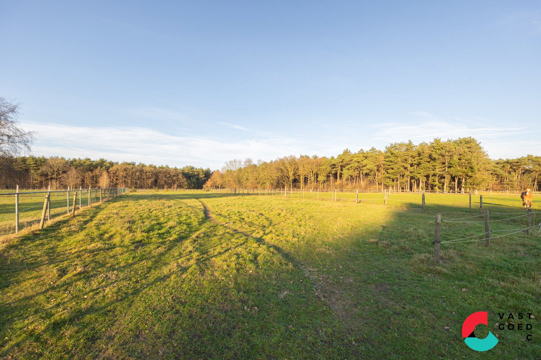 Huis te koop foto 10