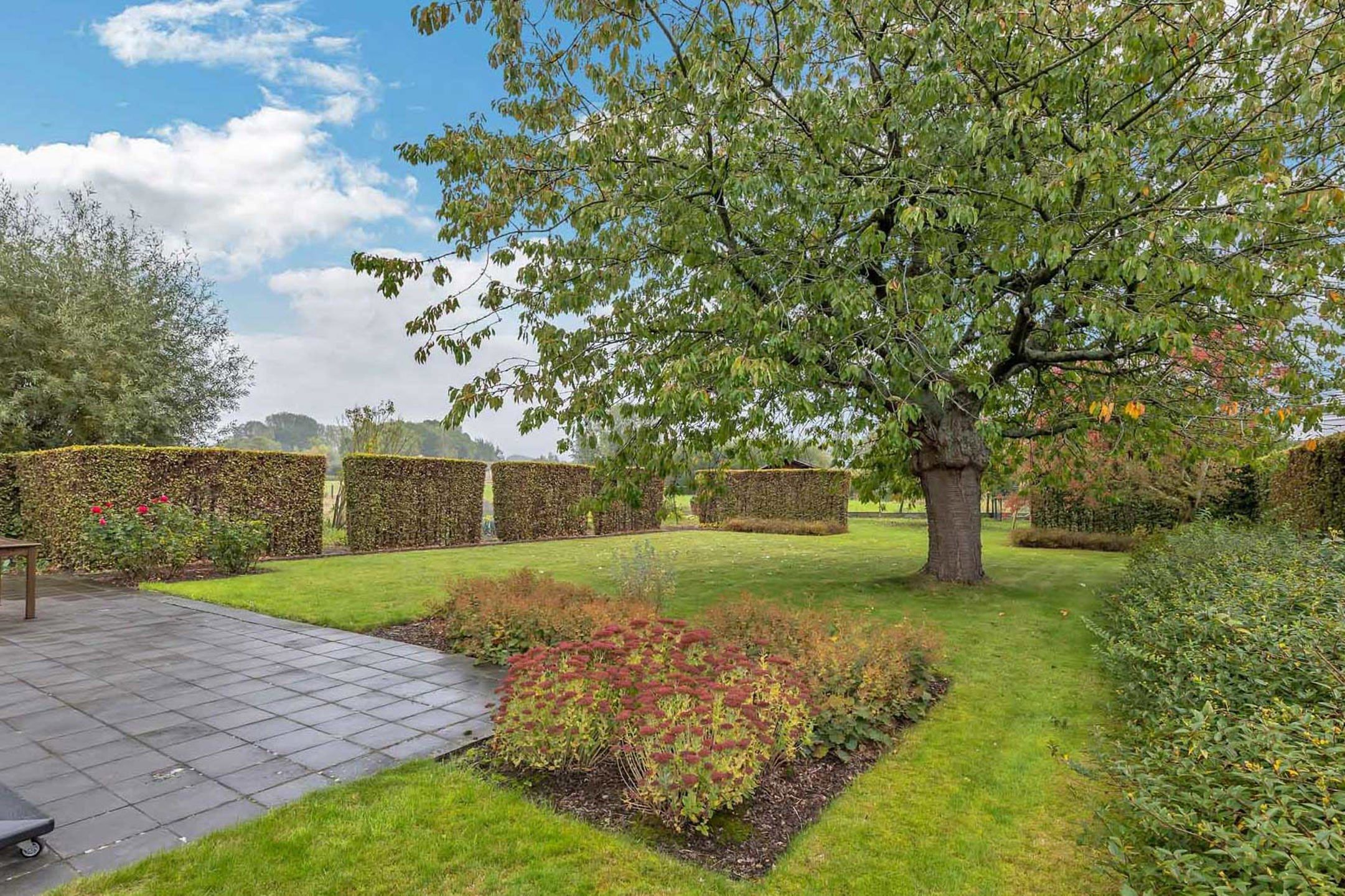 OB te Ternat met 4 slpk en praktijkruimte foto 7