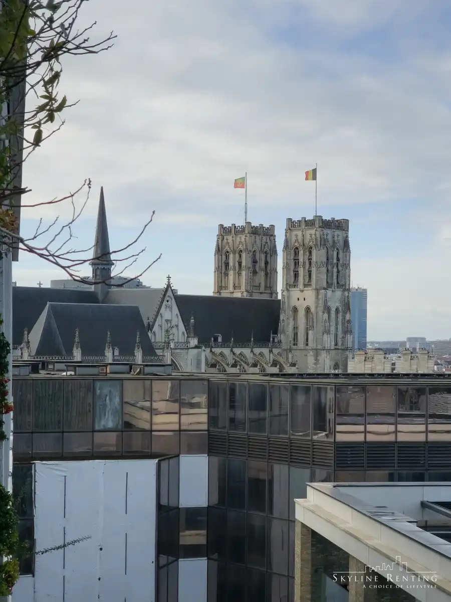 2 slk, terrassen & uitzonderlijk uitzicht – Brussel Centrum foto 15
