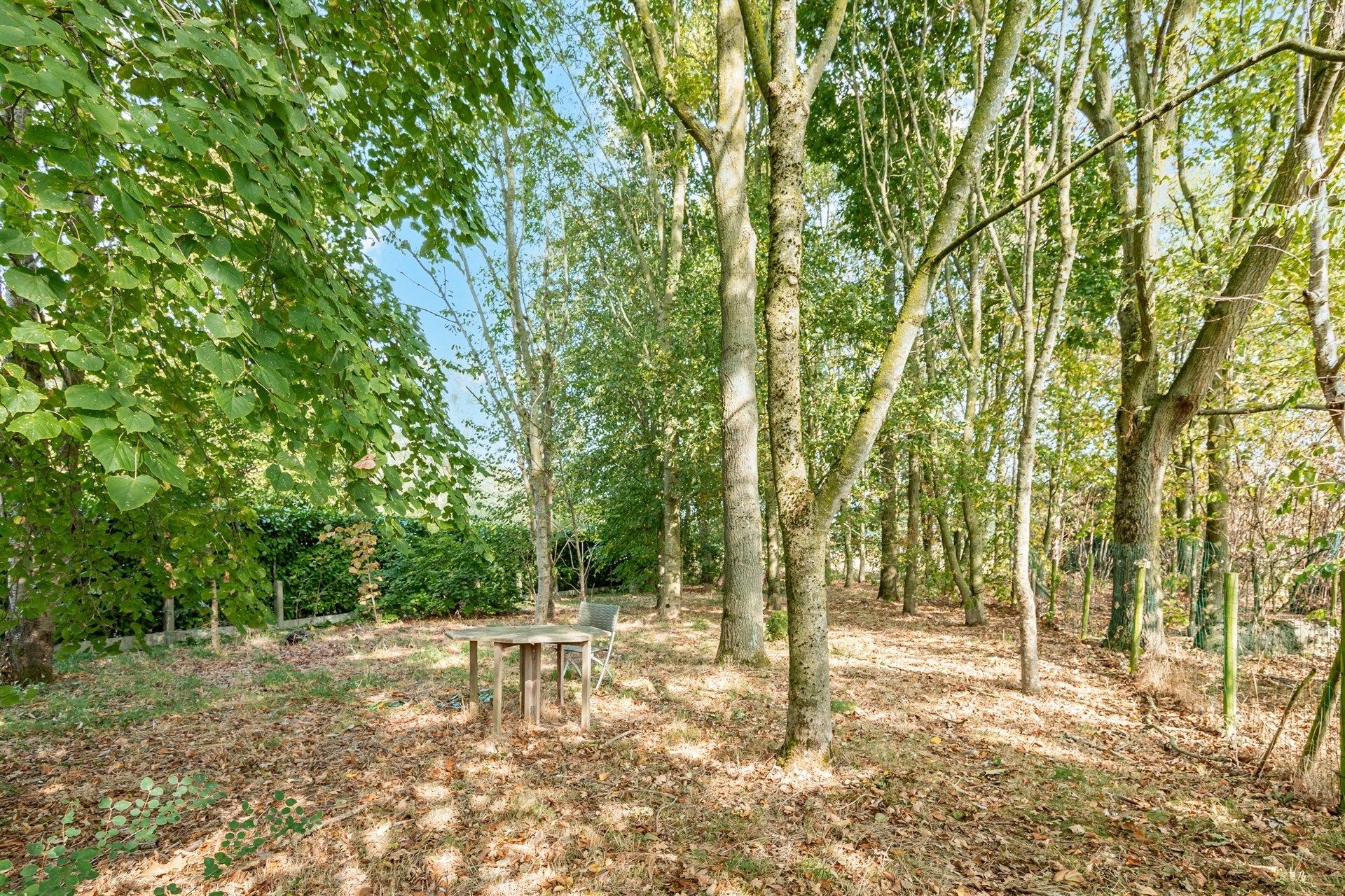 Ruime villa met 4 slks op topligging in Ten-Ede foto 26