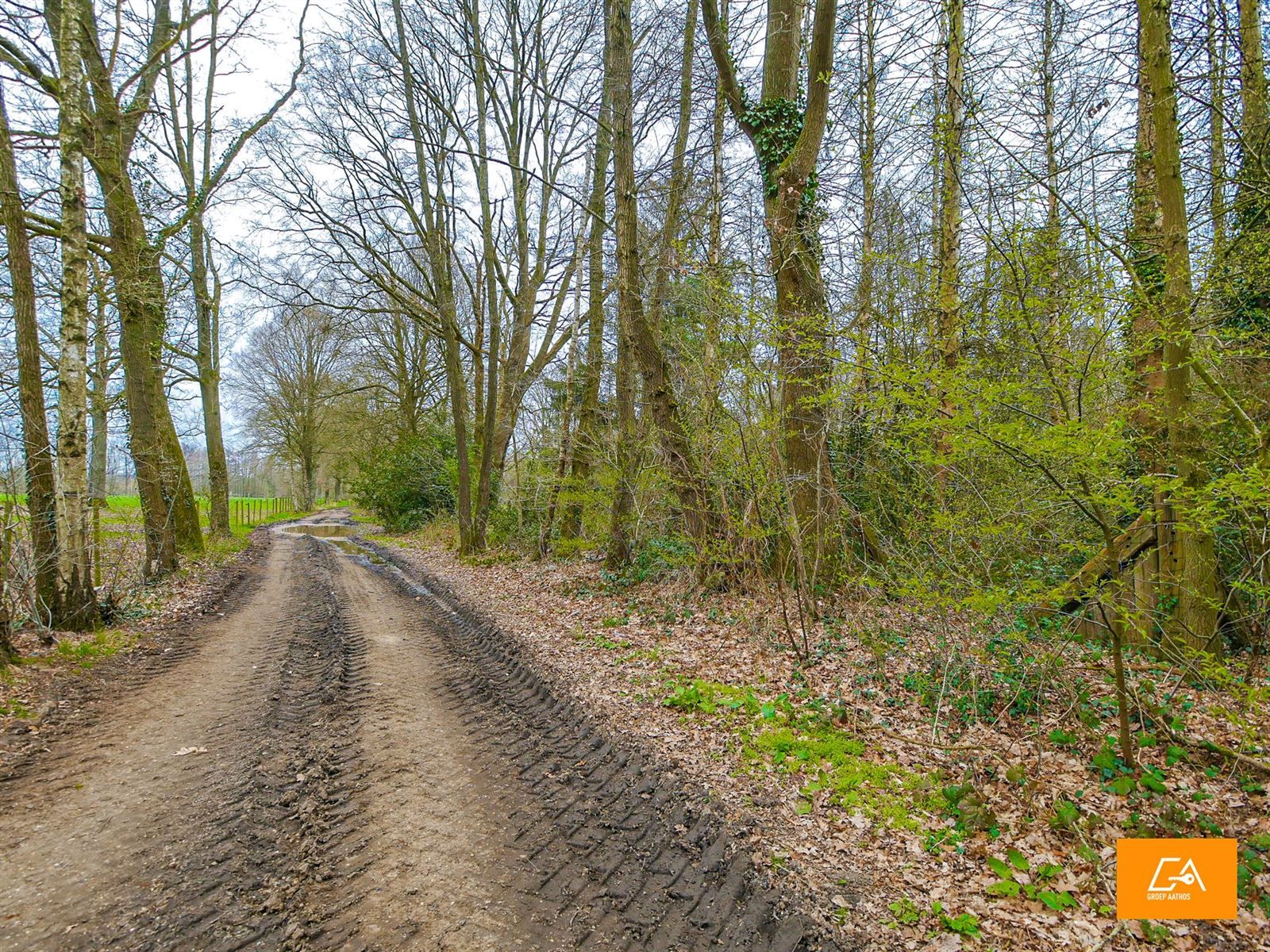 Groene zone foto {{pictureIndex}}