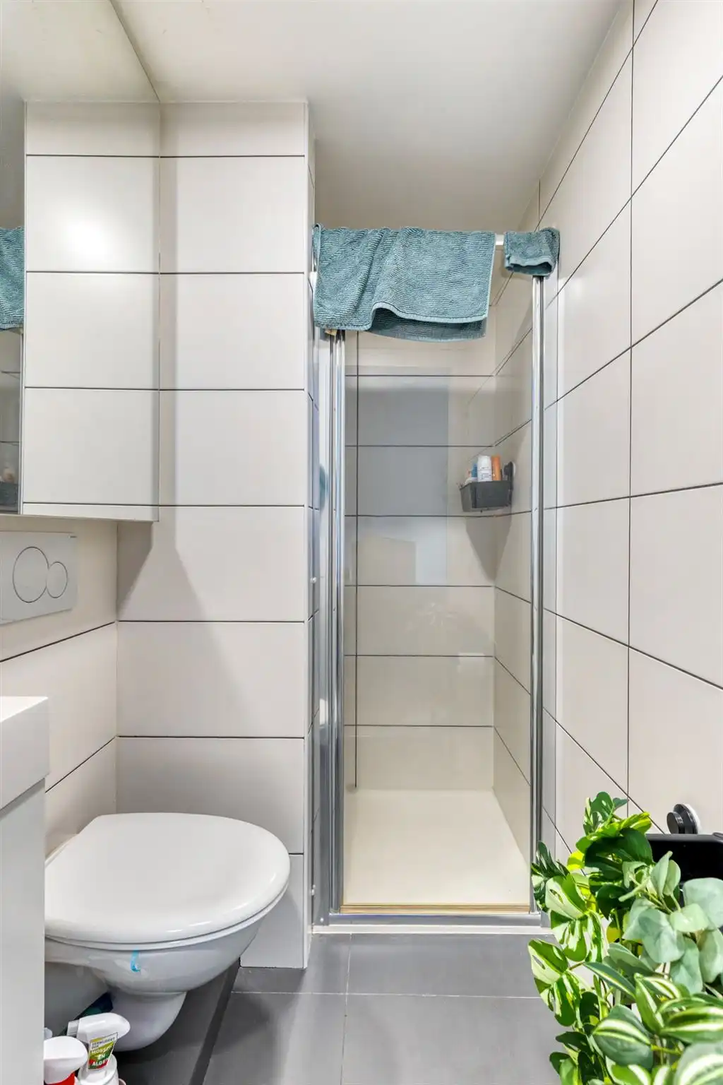 Instapklaar 1-slaapkamerappartement foto 6