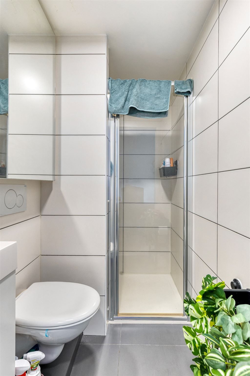 Instapklaar 1-slaapkamerappartement foto 6