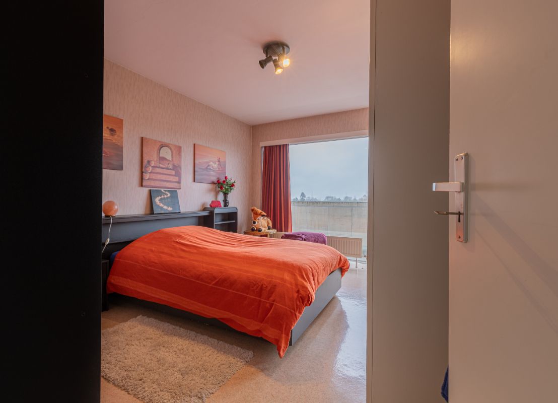 Appartement met zicht op stadsvijver foto 10