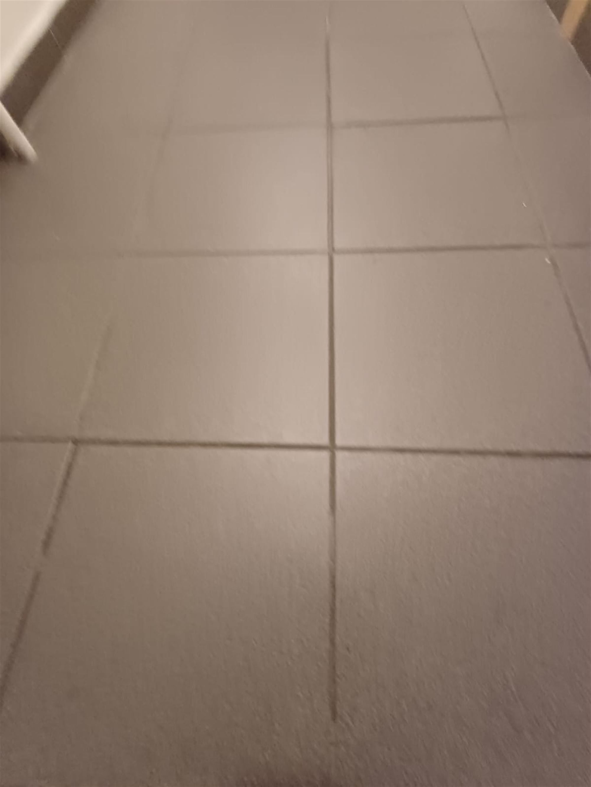 gebouw met 8 te renoveren 2 slaapkamerappartementen foto 15