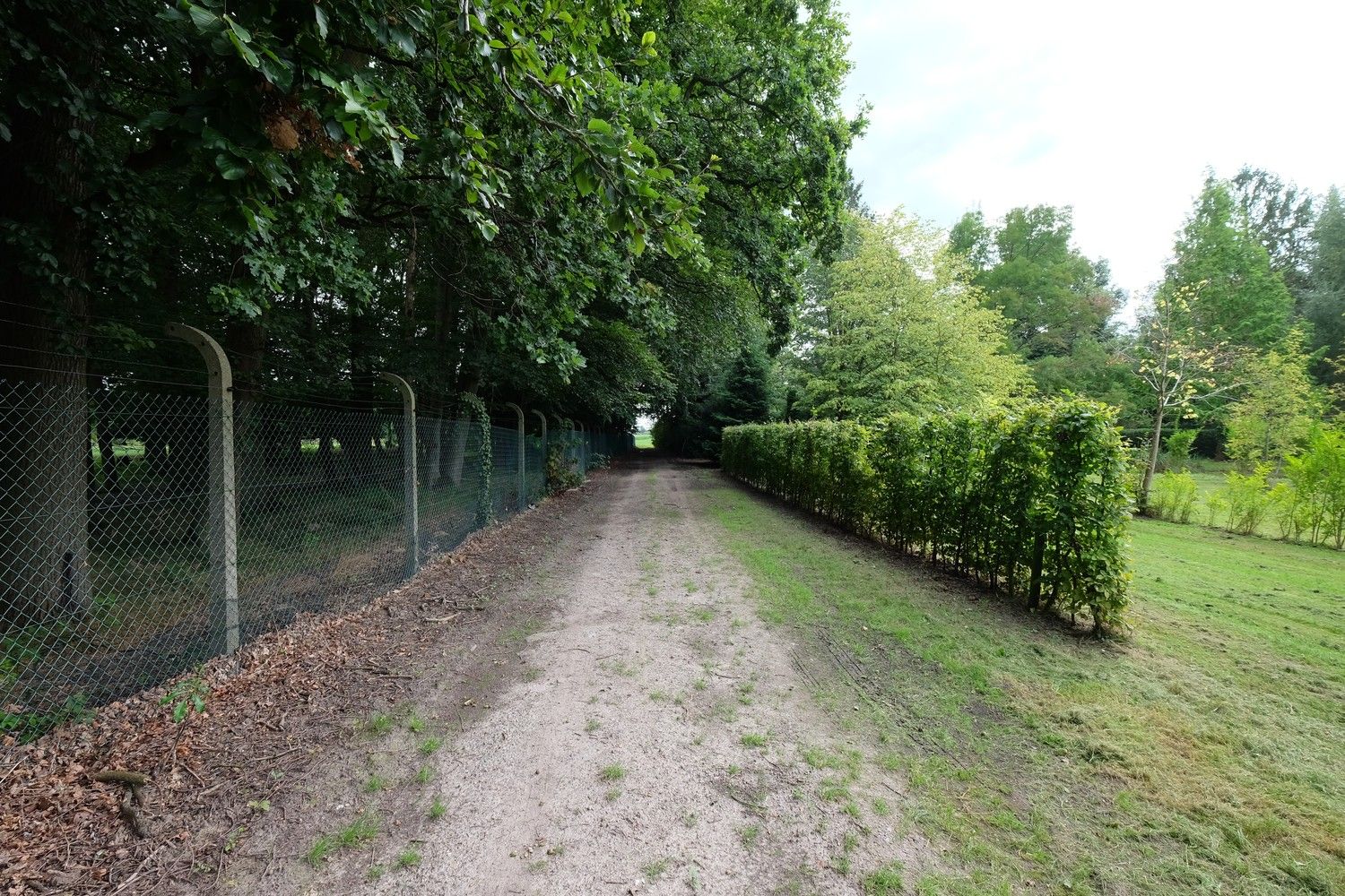 Uniek perceel met een charmante vakantiewoning midden in de natuur omgeven door een uitzonderlijke collectie van prachtige bomen. foto 29