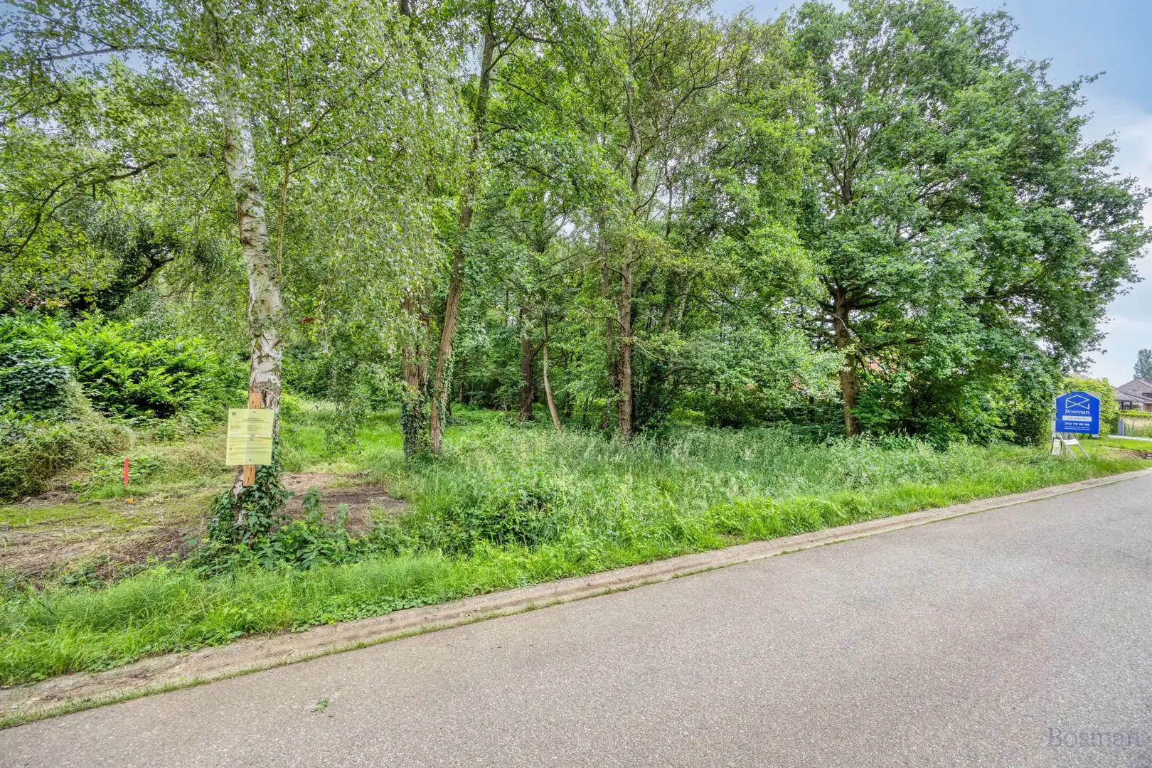 Bouwgrond op 16a 76ca te koop in Tessenderlo-Ham foto 6