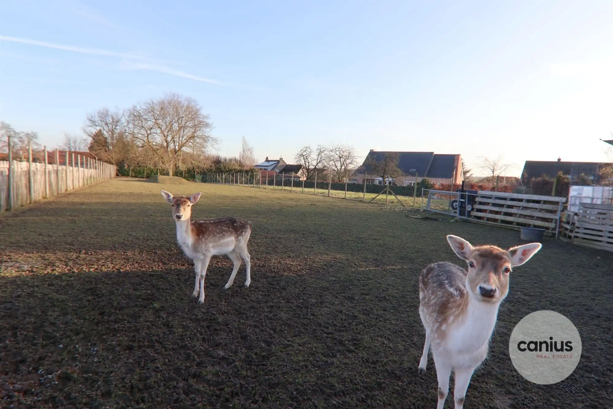 UITZONDERLIJKE WONING MET ZWEMBAD – MOGELIJKHEID ZELFSTANDIG BEROEP foto 33
