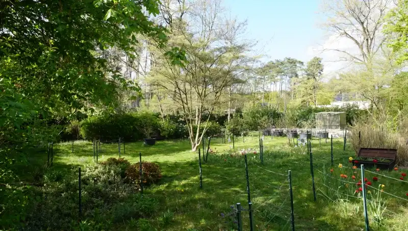 Landhuis van 269m² op 15 are met praktijkruimte/kantoor of kangoeroewoning foto 33