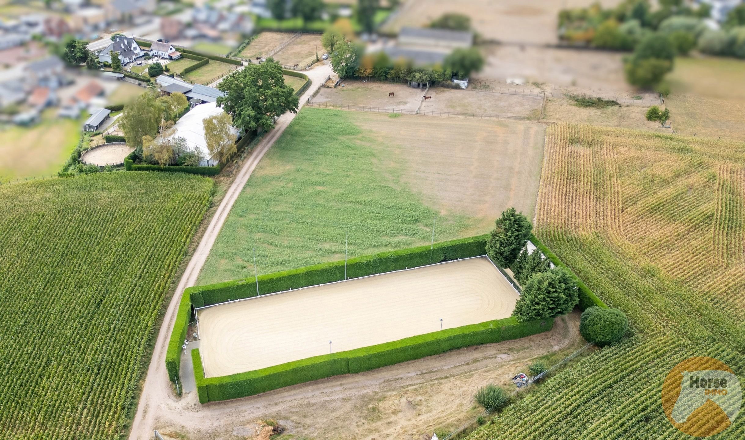 NEEROETEREN - Woning met accommodatie voor (semi)professioneel foto 5
