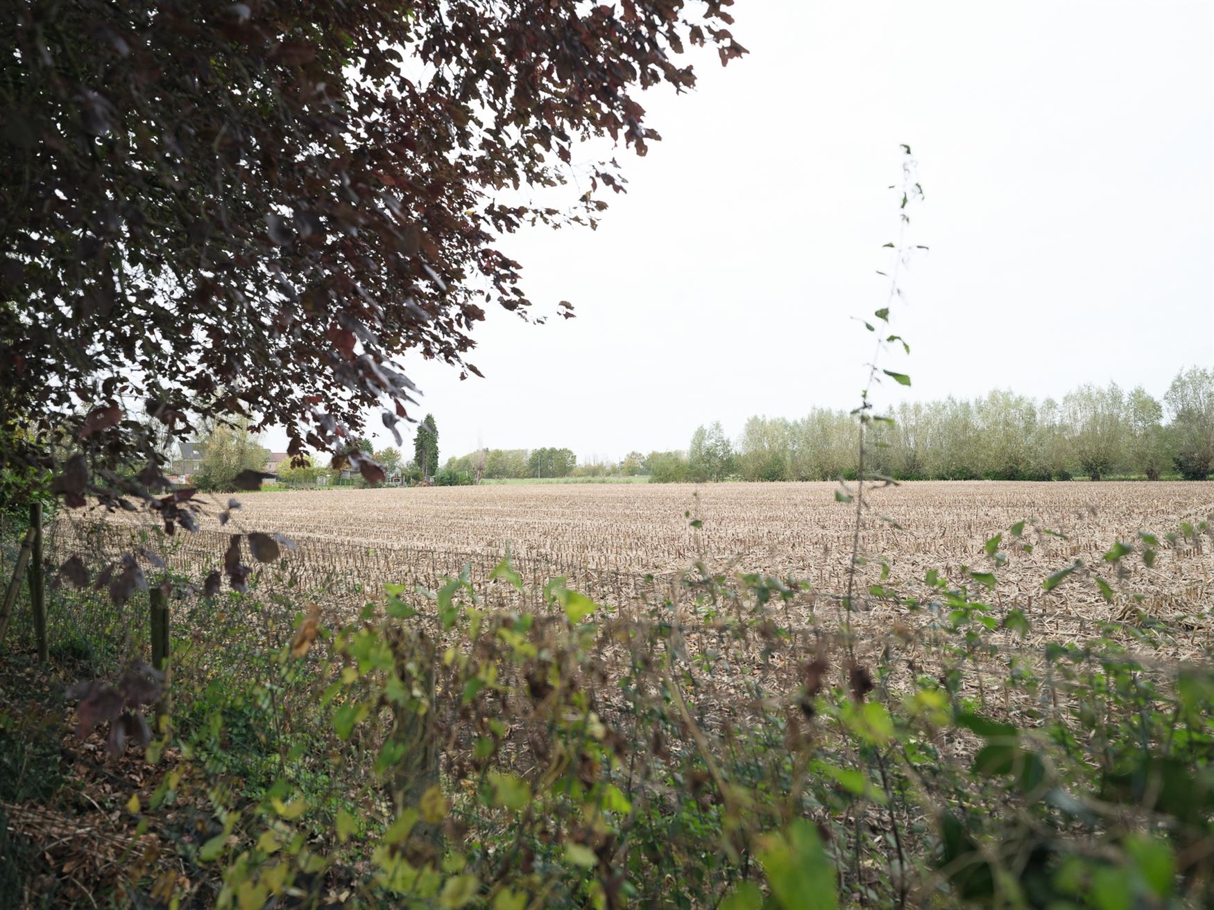 Elegante Franse villa op royaal perceel vlakbij Landgoed De Campagne. foto 22