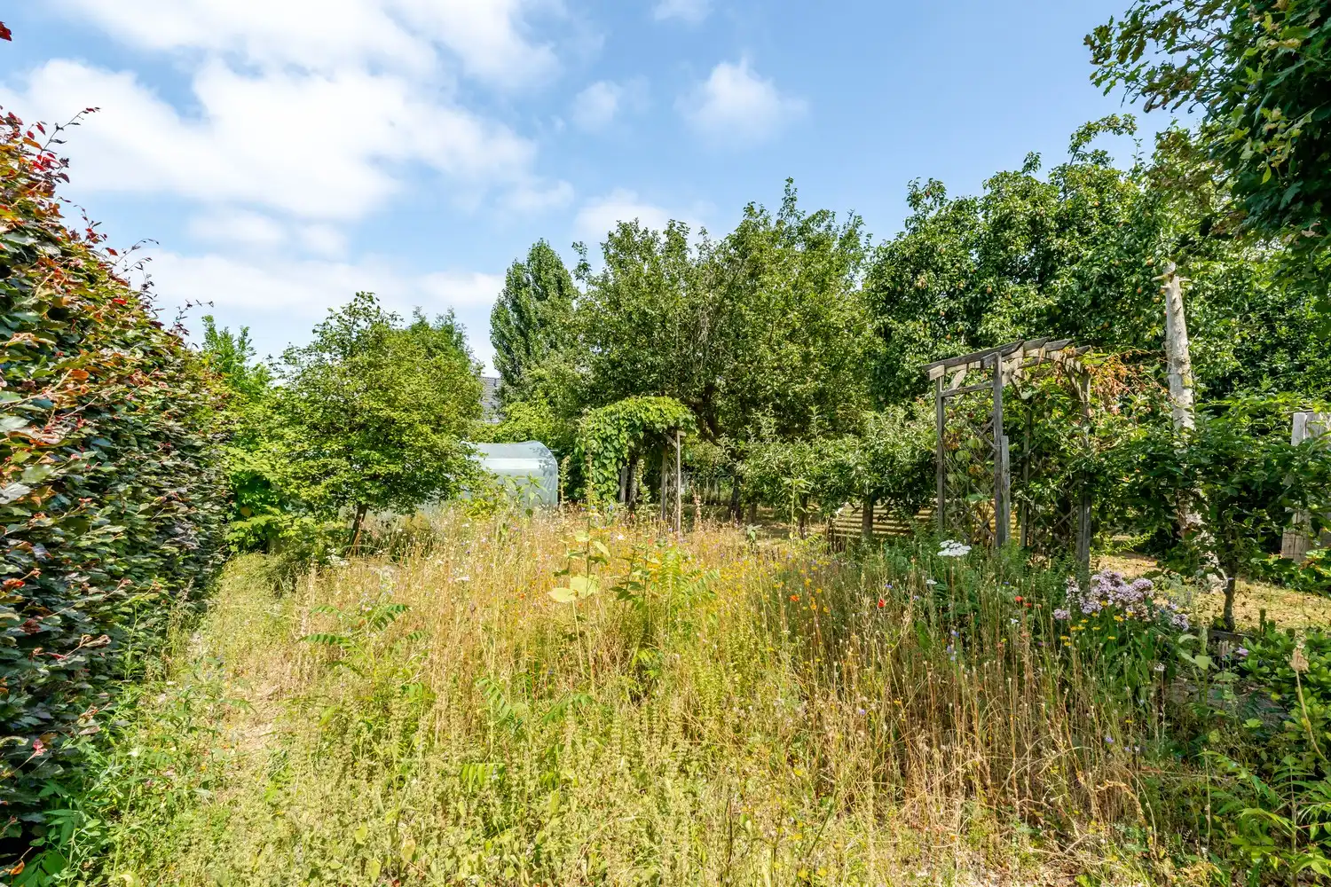 Alleenstaande woning te Ruiselede/Wingene. foto 19