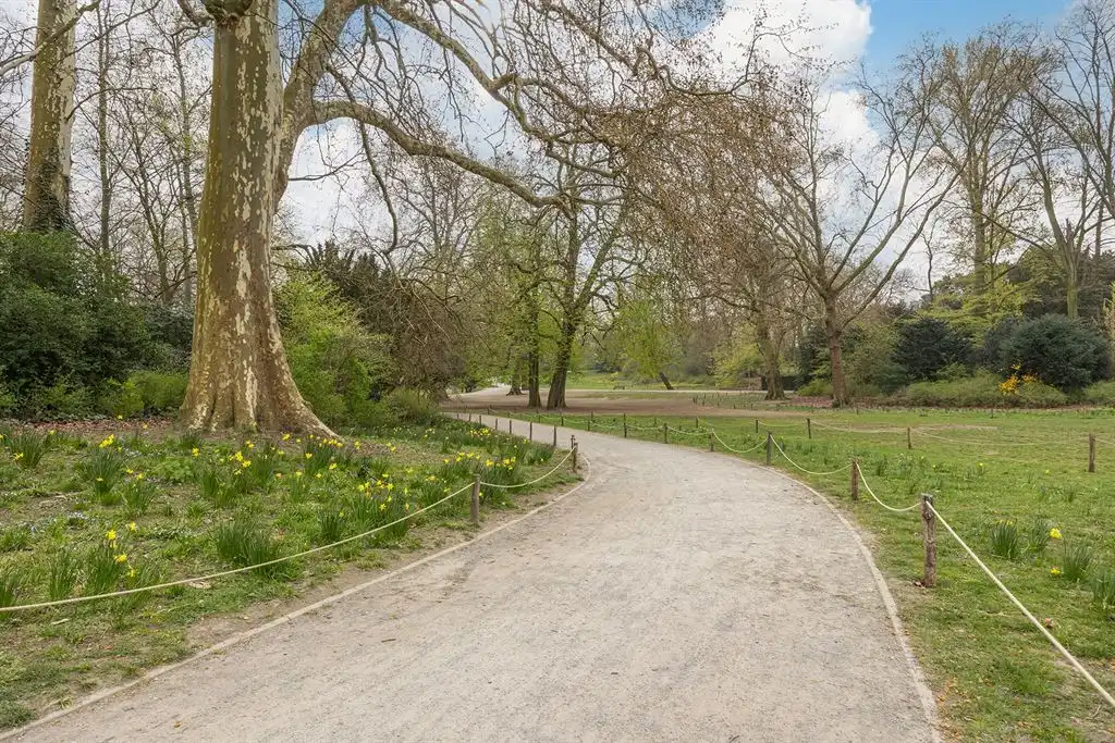 Ruim appartement met terras en zicht op Stadspark foto 22