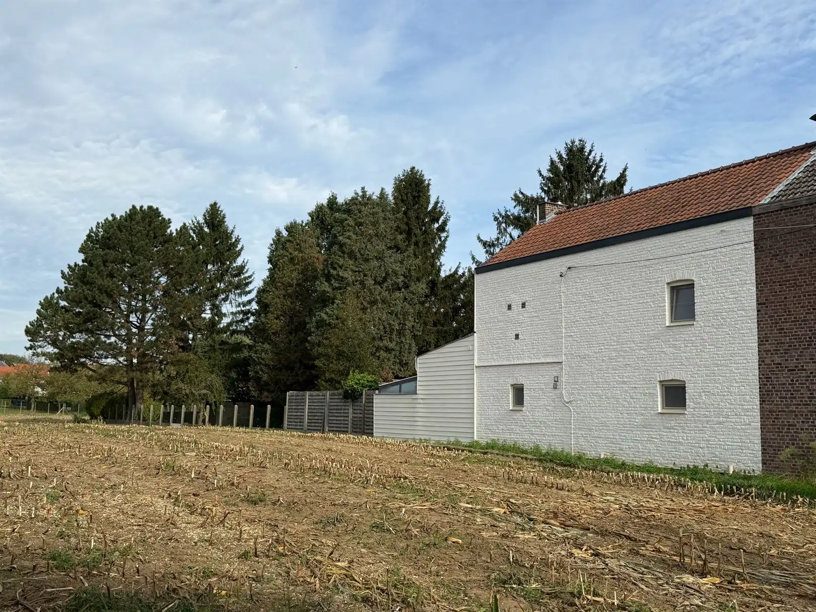Huis foto 7
