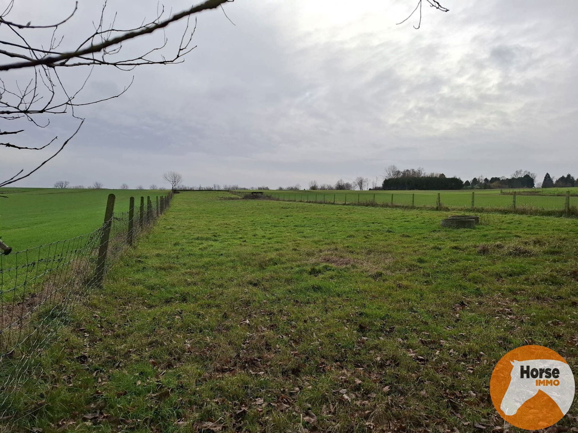 DENDERHOUTEM– Perceel weiland van 29a 50ca foto 4