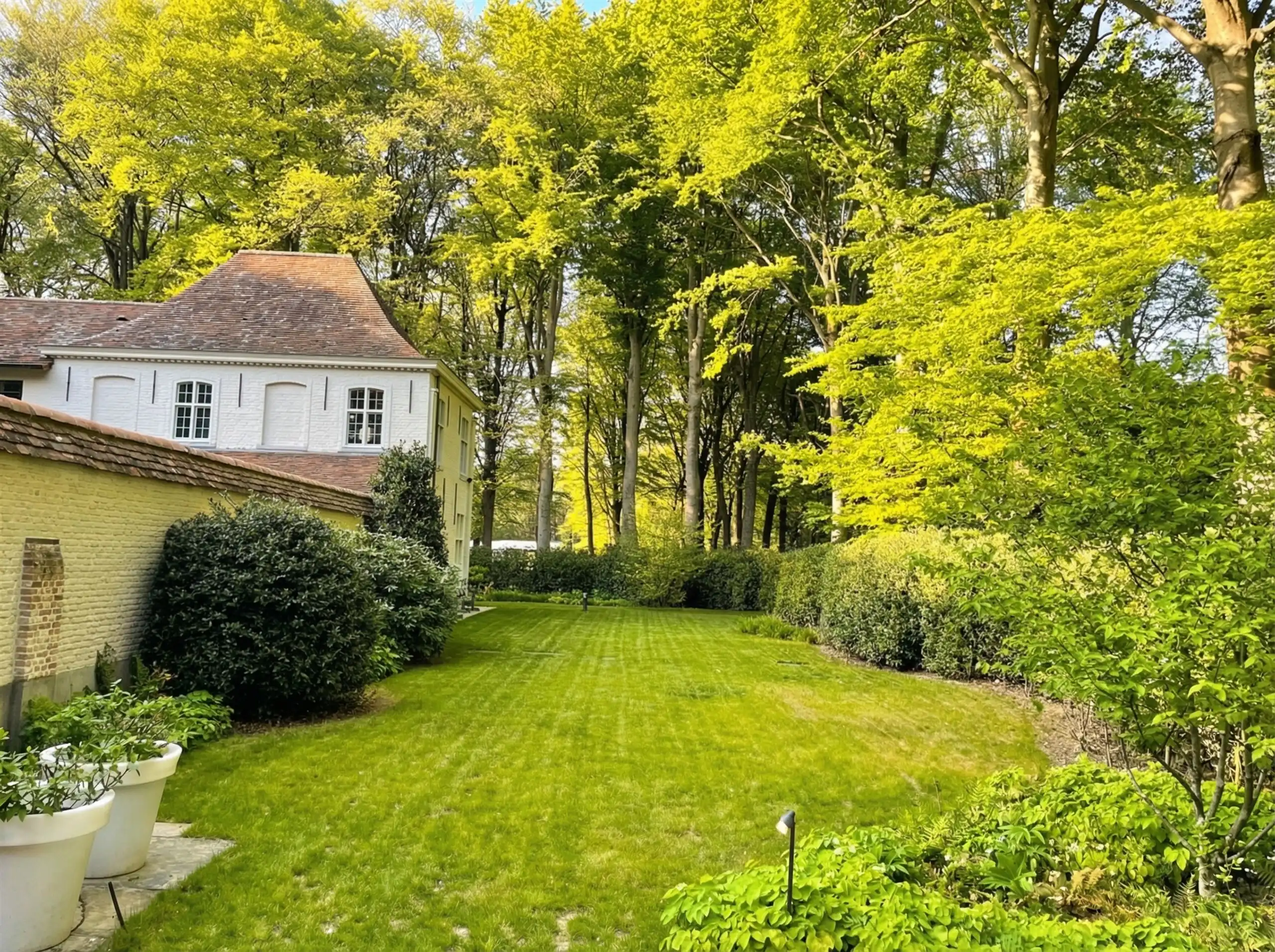 Majestueus Meesterwerk in de bossen van Hertsberge foto 6